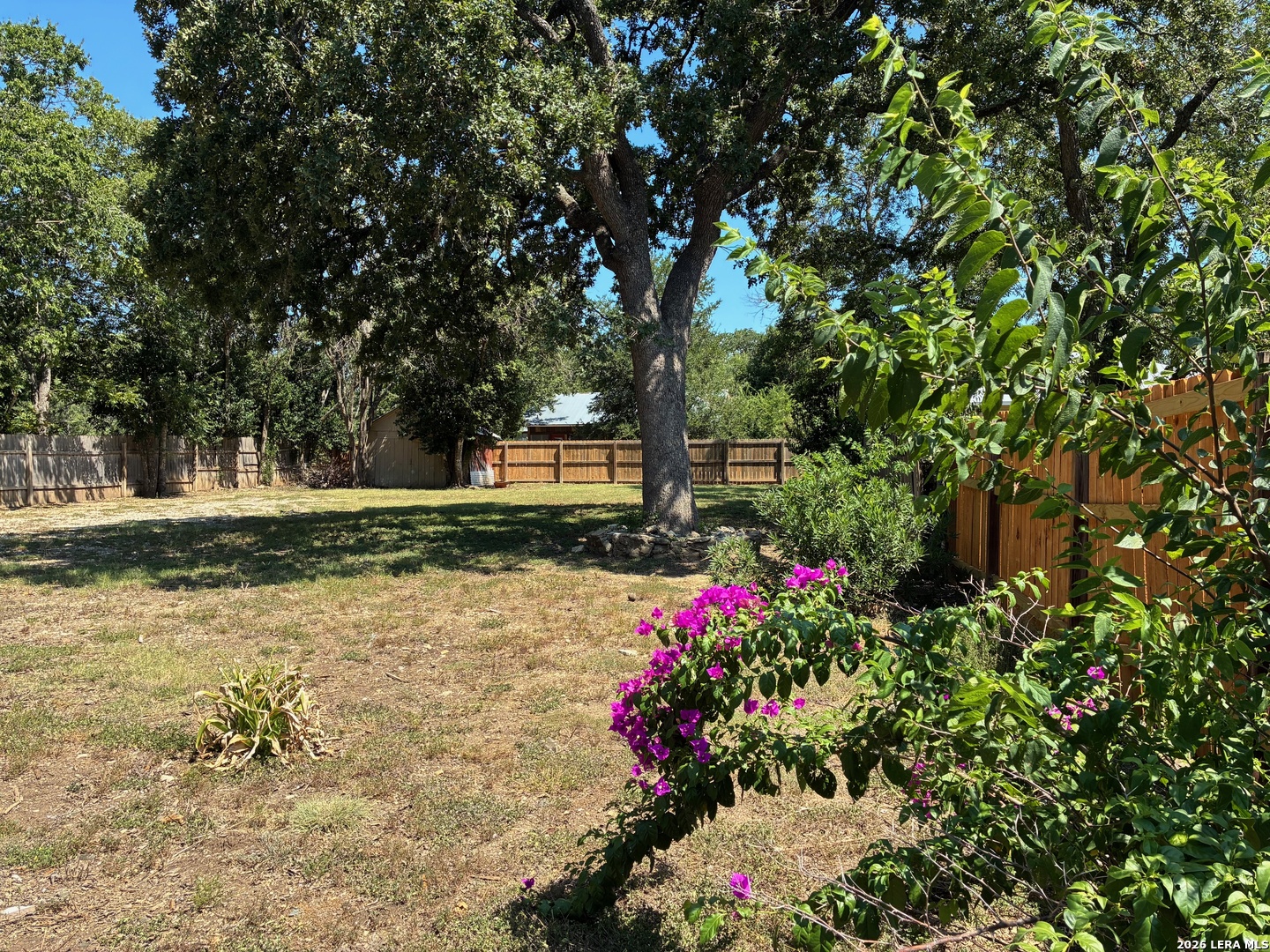 314 East Bandera Road Boerne, TX 78006 - Photo 7 of 8 a view of a flowers in a yard
