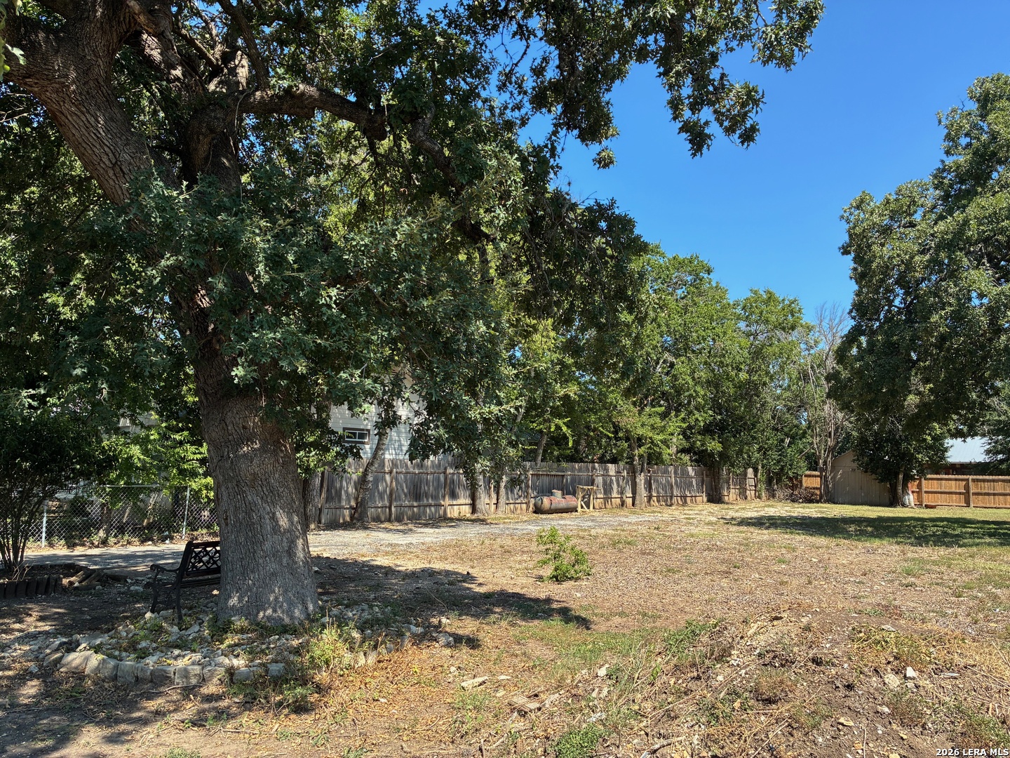 314 East Bandera Road Boerne, TX 78006 - Photo 8 of 8 a view of a tree in the middle of a yard