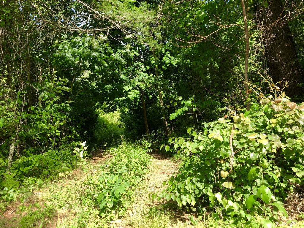 0 Parsonage Road Plympton, MA 02367 - Photo 4 of 5 Gallery Image 4