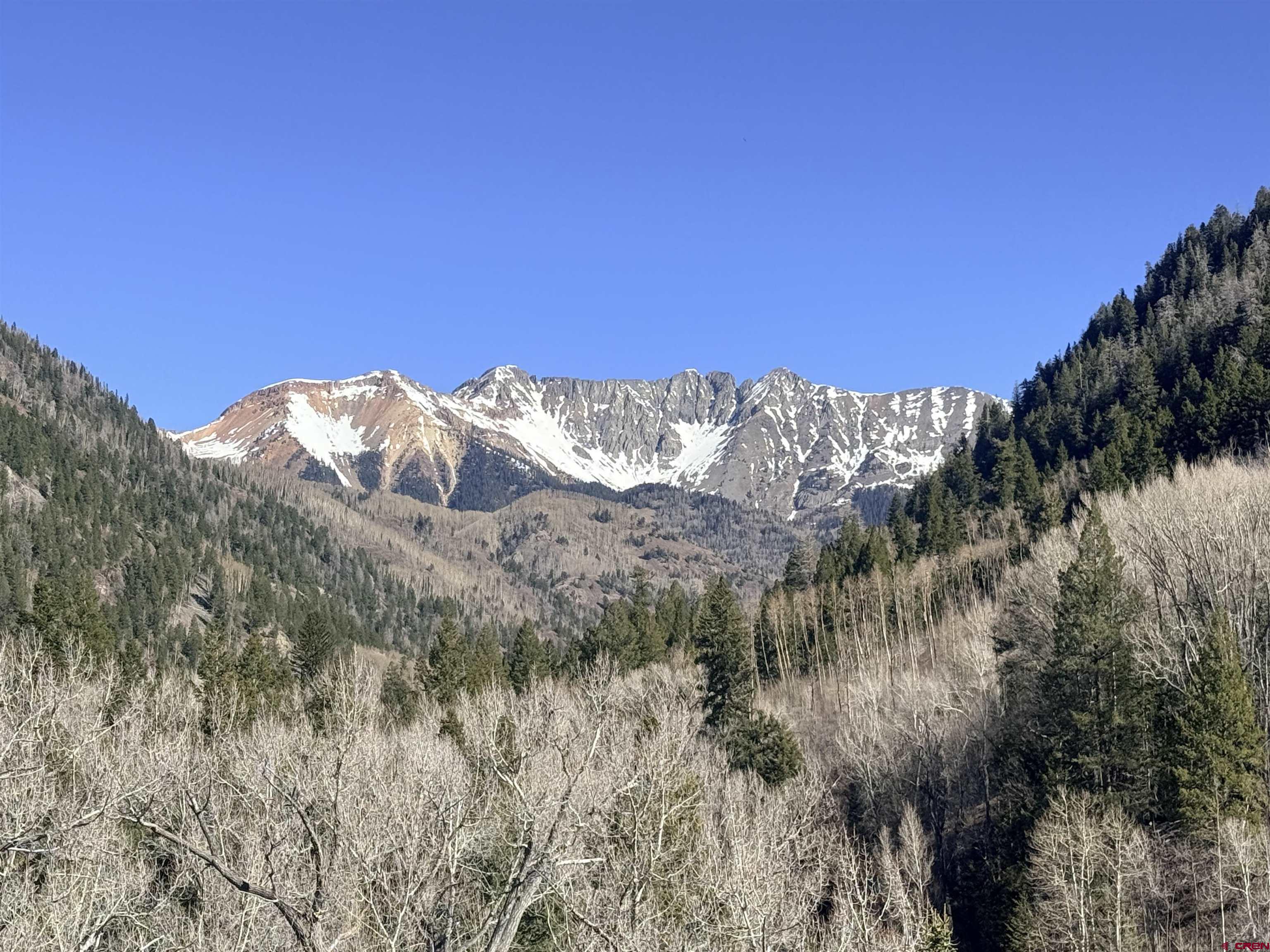 4462 County Road 124 Durango, CO 81301 - Photo 10 of 44 a view of a dry yard with mountains in the background