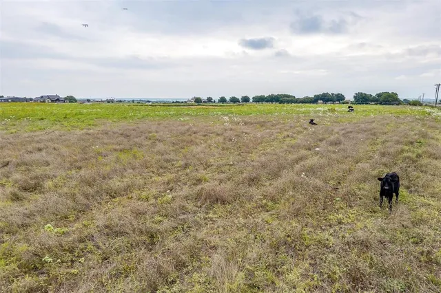 a view of lake and mountain