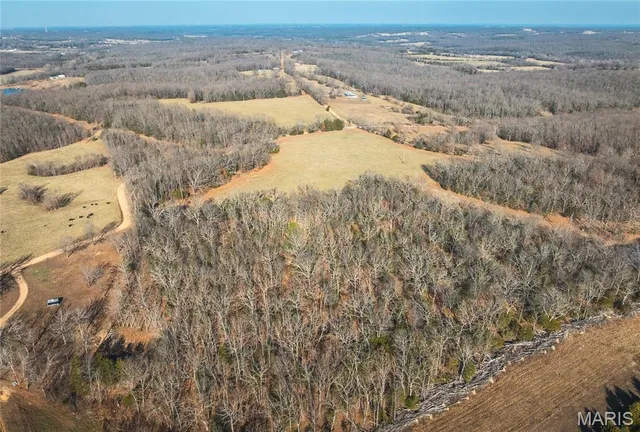 $150,000 | 625 County Road 625, Dixon, MO 65459