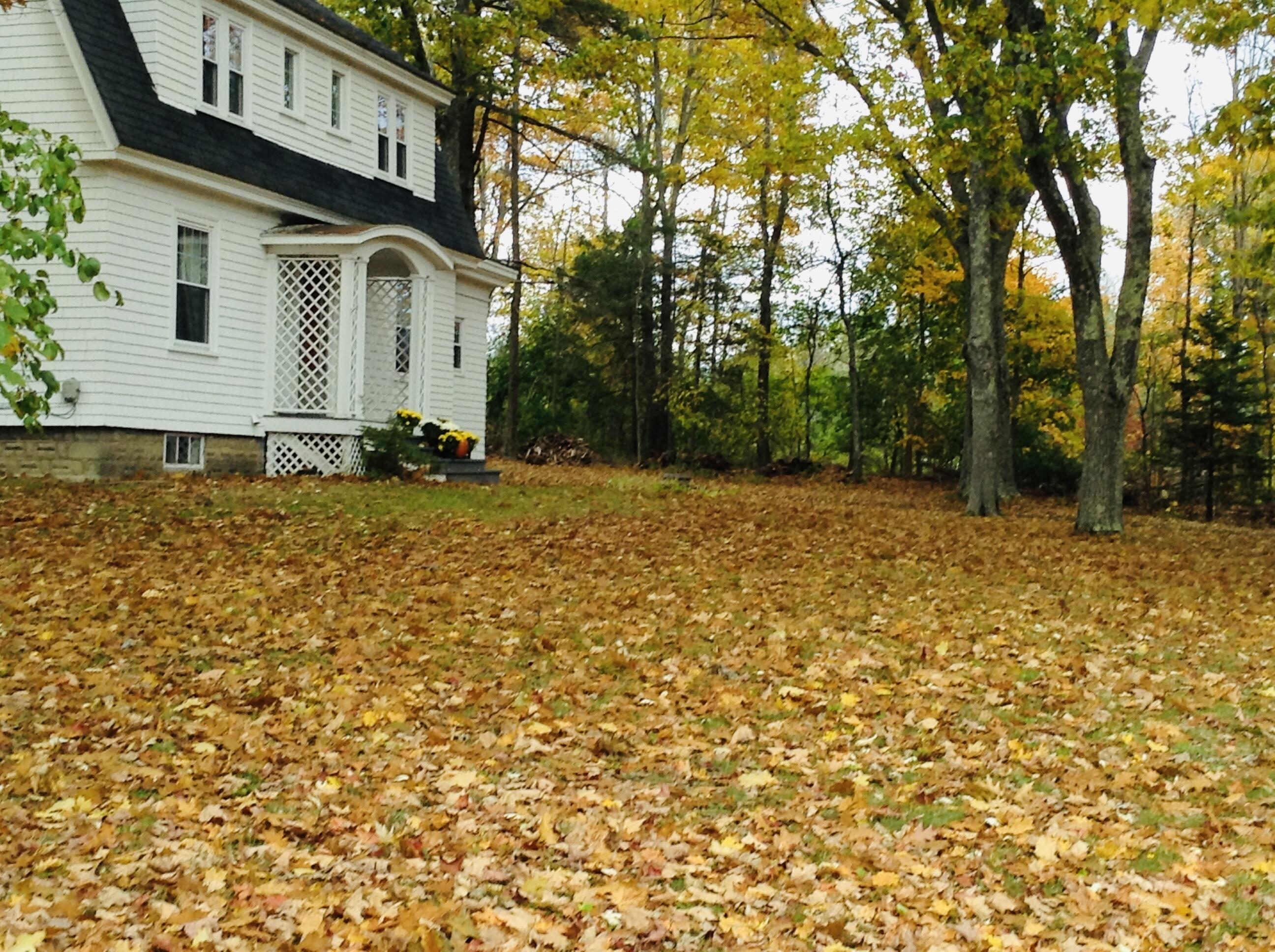 188 Main Road North Hampden, ME 04444 - Photo 43 of 48