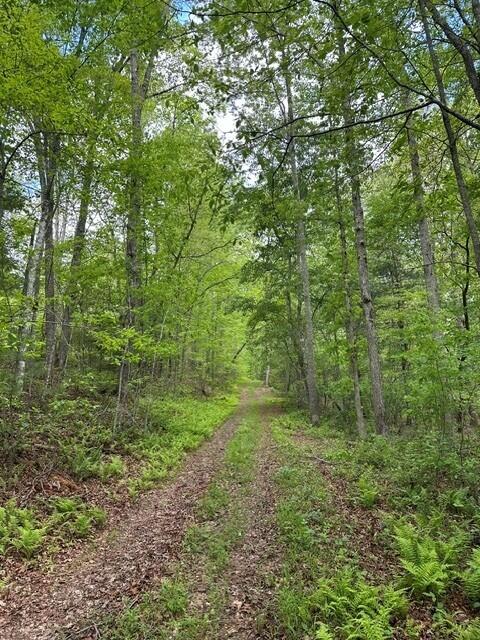 142 Cole Road Deer Lodge, TN 37726 - Photo 10 of 77 7