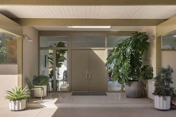 a potted plant sitting in front of a building