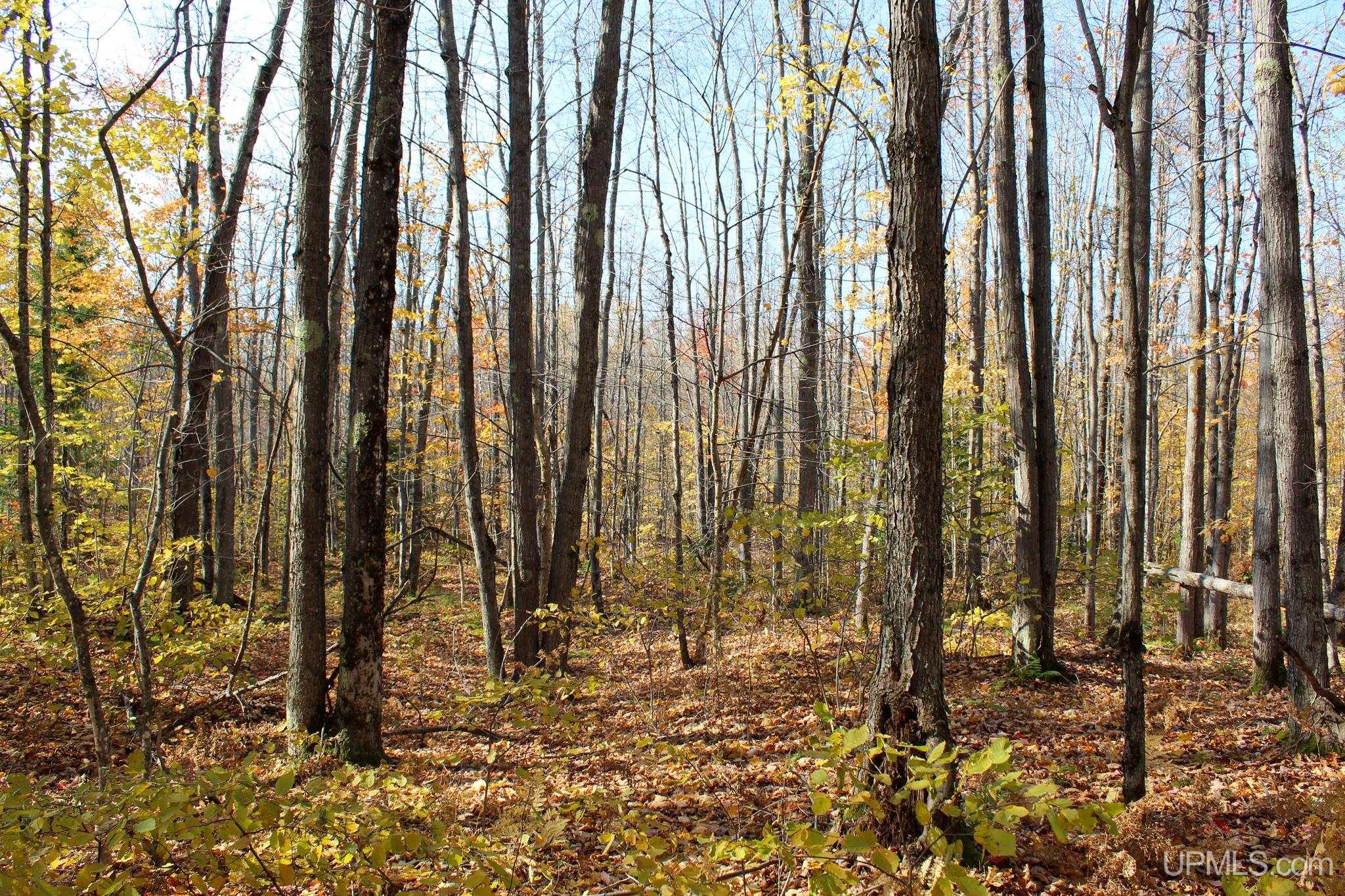 Tbd Pike River Road Chassell, MI 49916 - Photo 35 of 57 Gallery Image 35