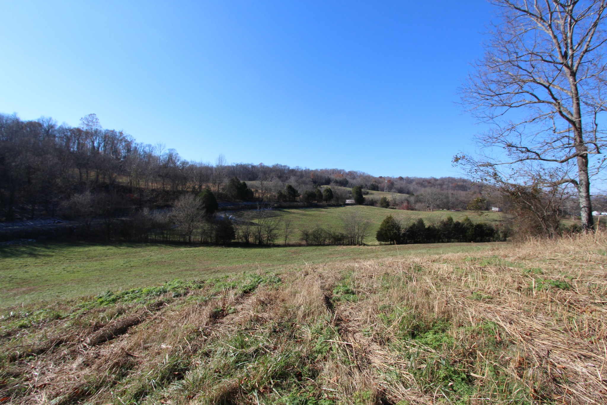 0 Wiley Hollow Road Culleoka, TN 38451 - Photo 1 of 40 Gallery Image 1
