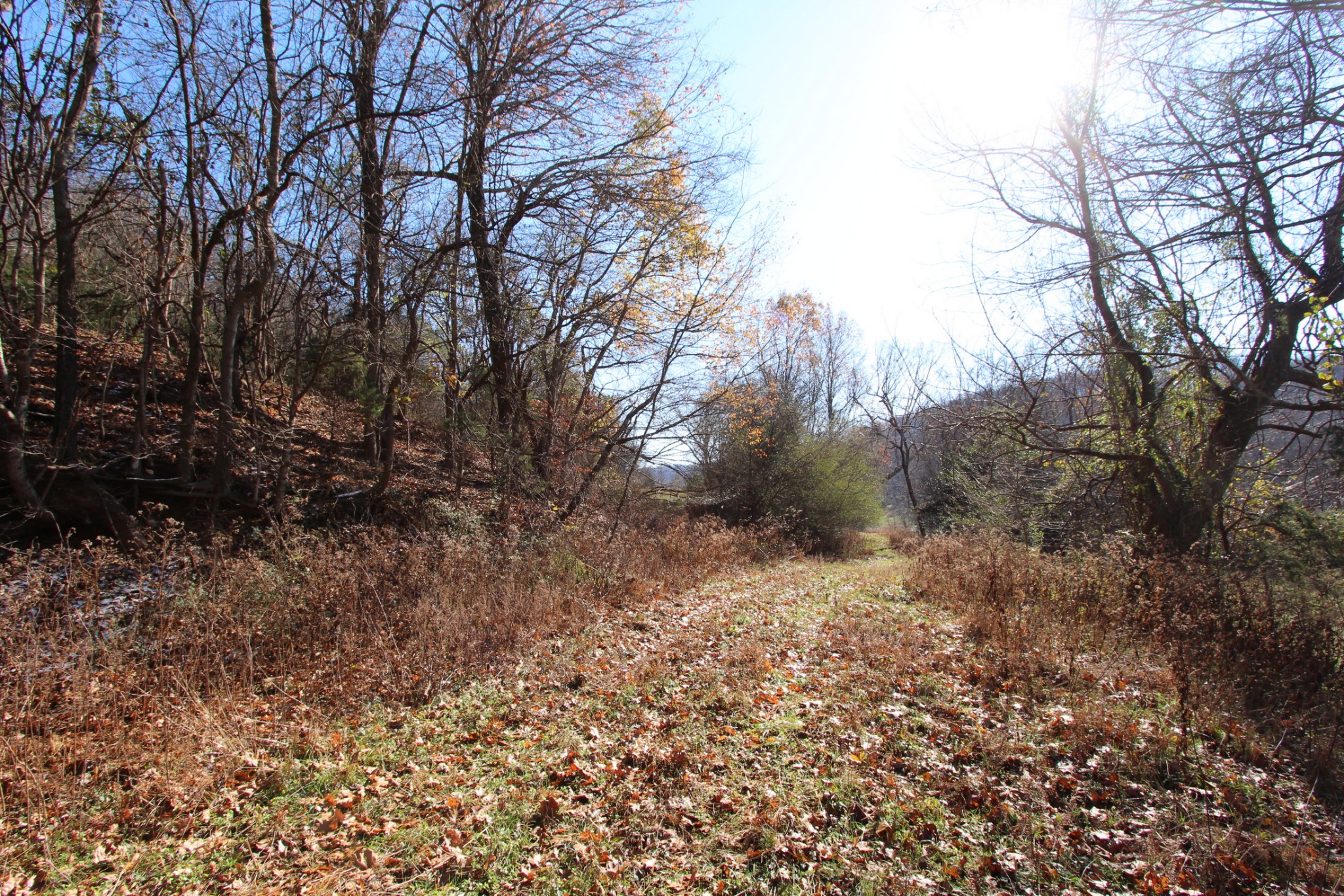 0 Wiley Hollow Road Culleoka, TN 38451 - Photo 2 of 40 Gallery Image 2