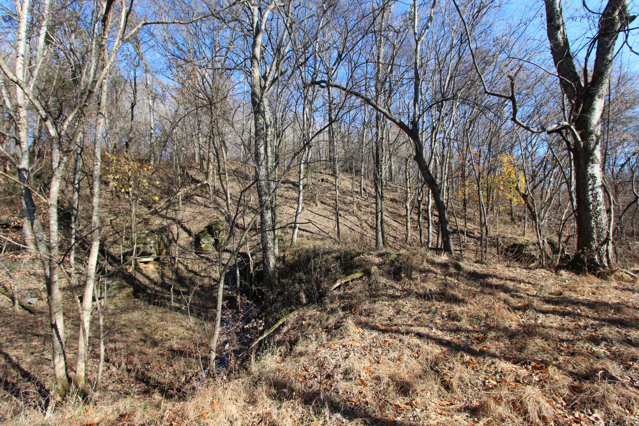 0 Wiley Hollow Road Culleoka, TN 38451 - Photo 11 of 40 Gallery Image 11