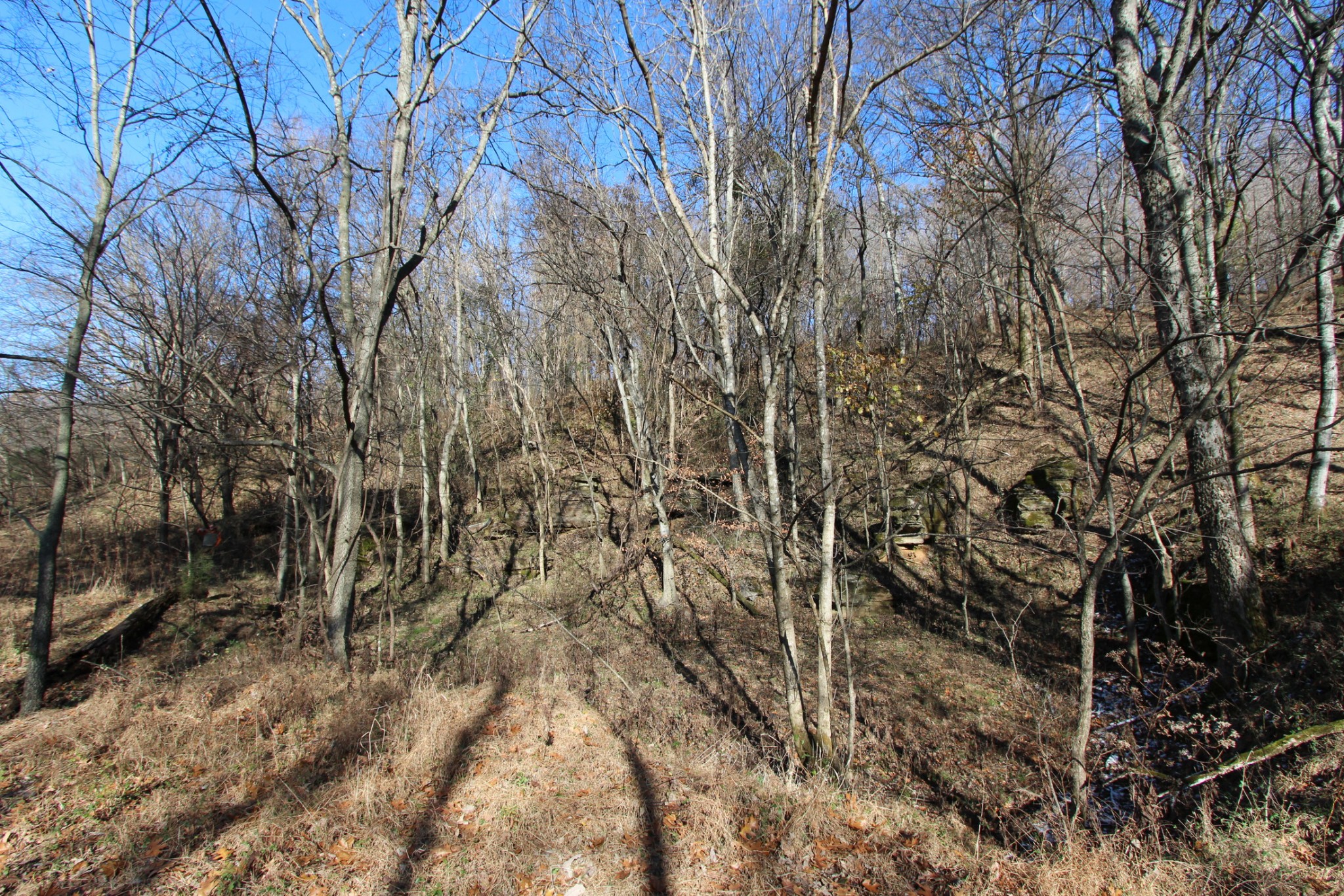 0 Wiley Hollow Road Culleoka, TN 38451 - Photo 12 of 40 Gallery Image 12