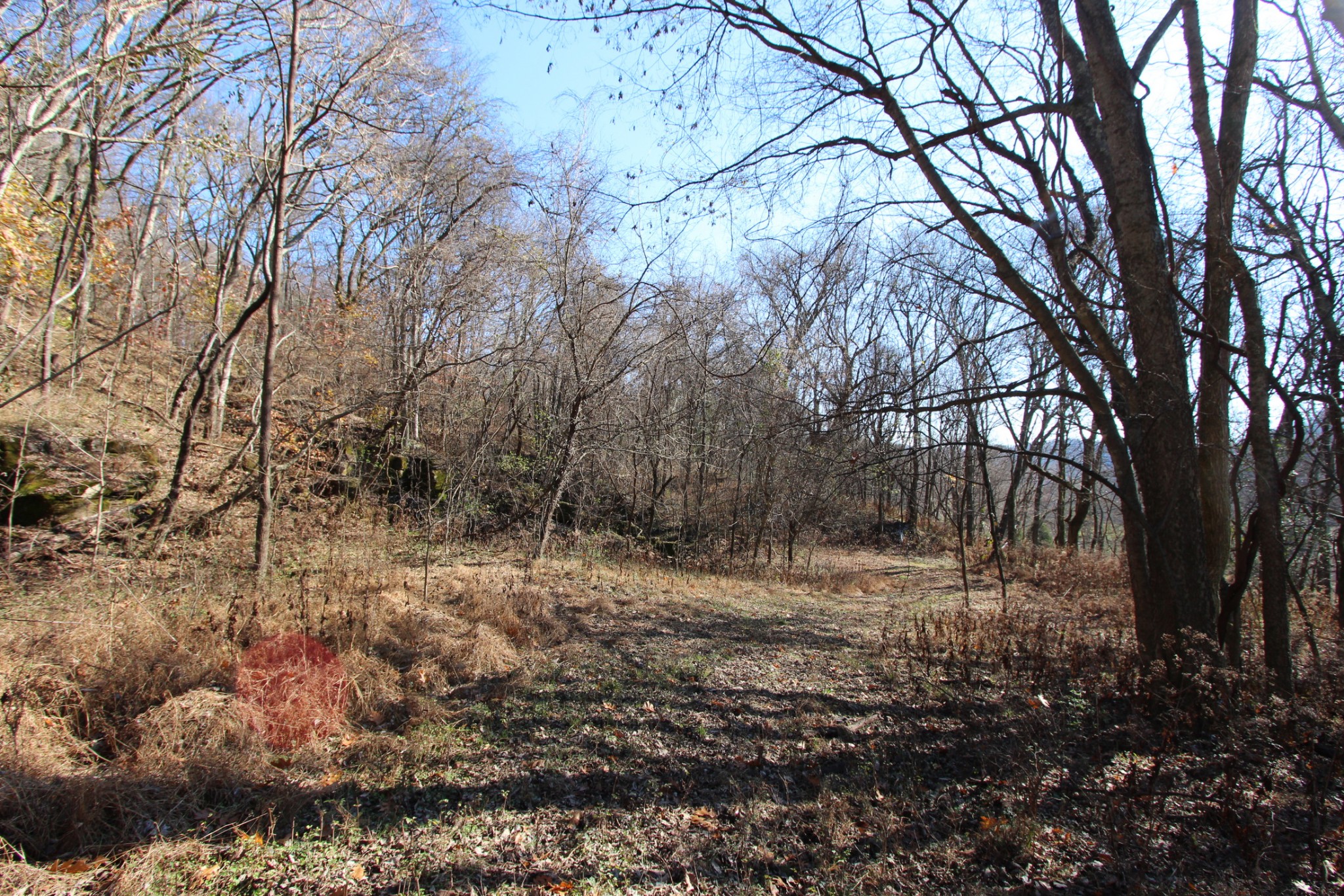 0 Wiley Hollow Road Culleoka, TN 38451 - Photo 14 of 40 Gallery Image 14