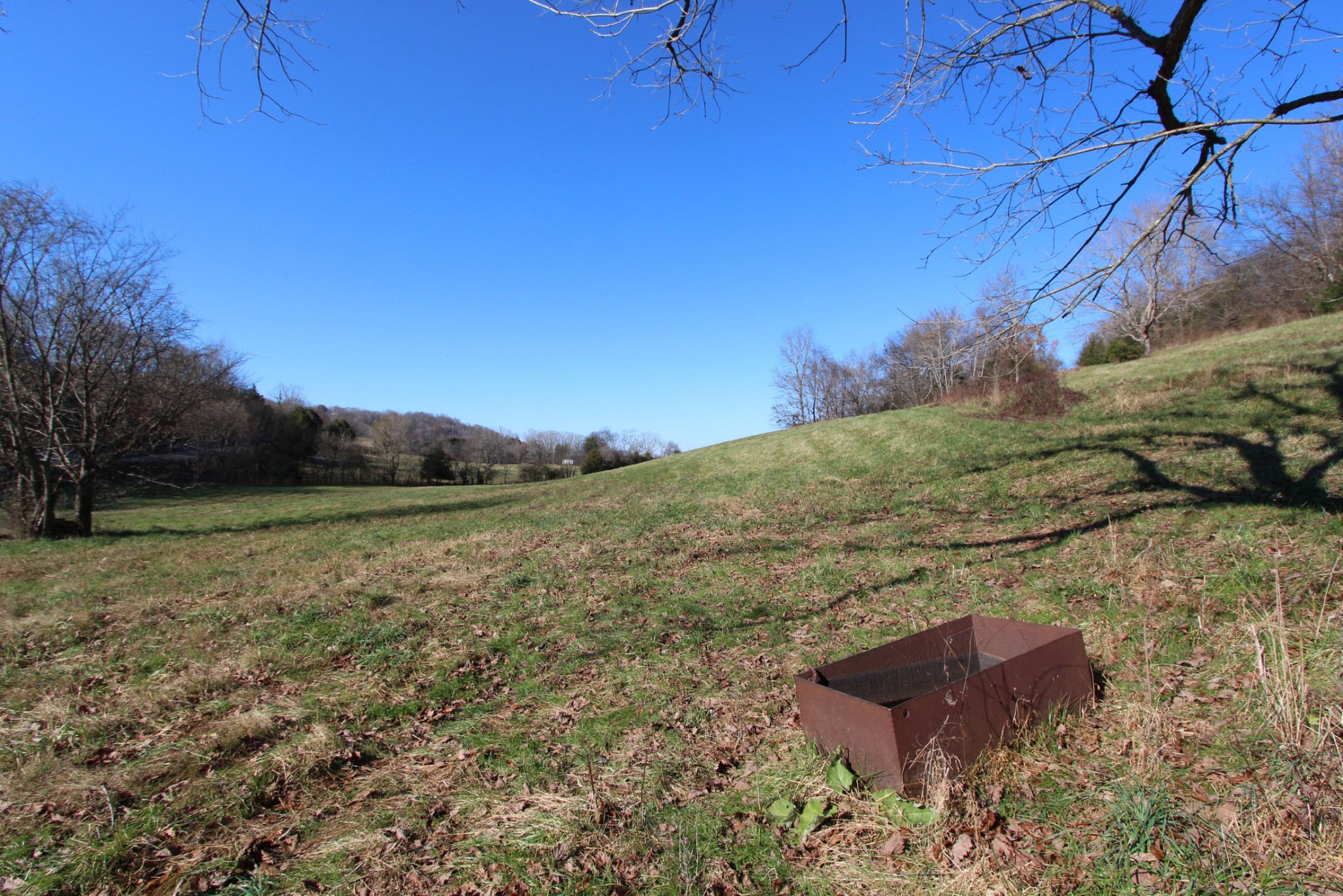 0 Wiley Hollow Road Culleoka, TN 38451 - Photo 15 of 40 Gallery Image 15