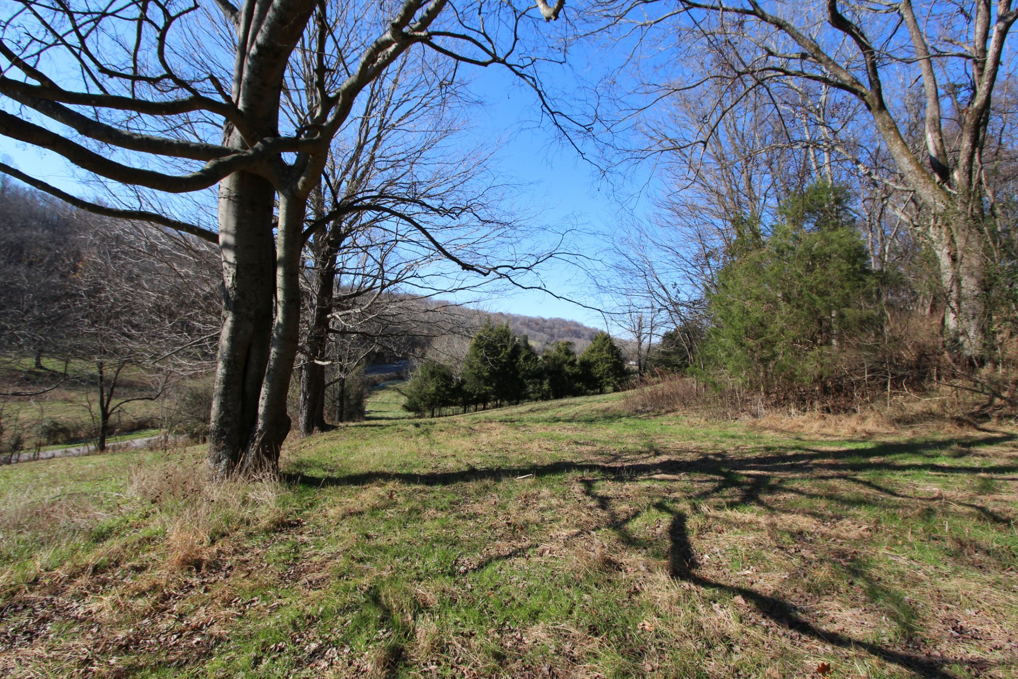 0 Wiley Hollow Road Culleoka, TN 38451 - Photo 16 of 40 Gallery Image 16