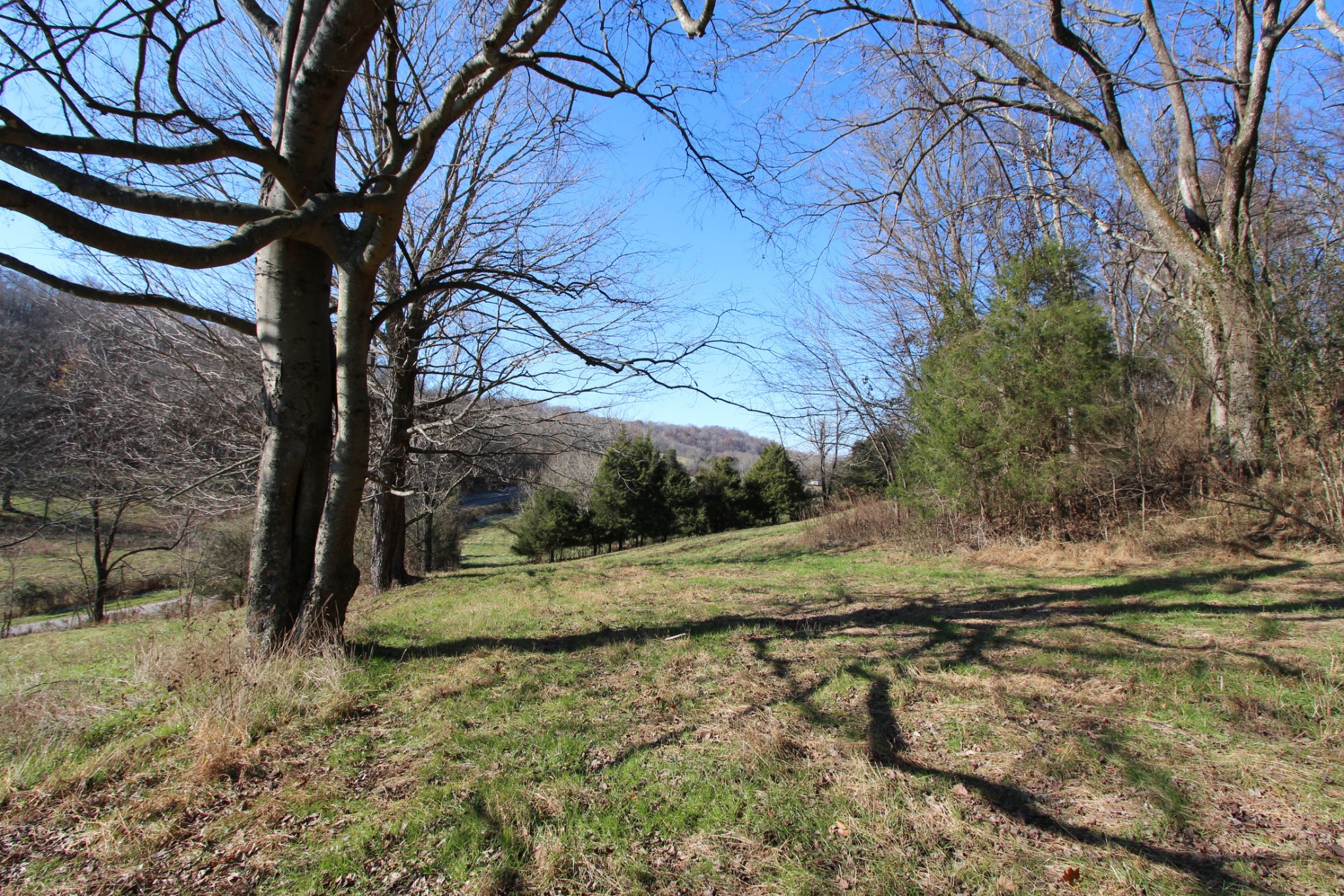 0 Wiley Hollow Road Culleoka, TN 38451 - Photo 17 of 40 Gallery Image 17