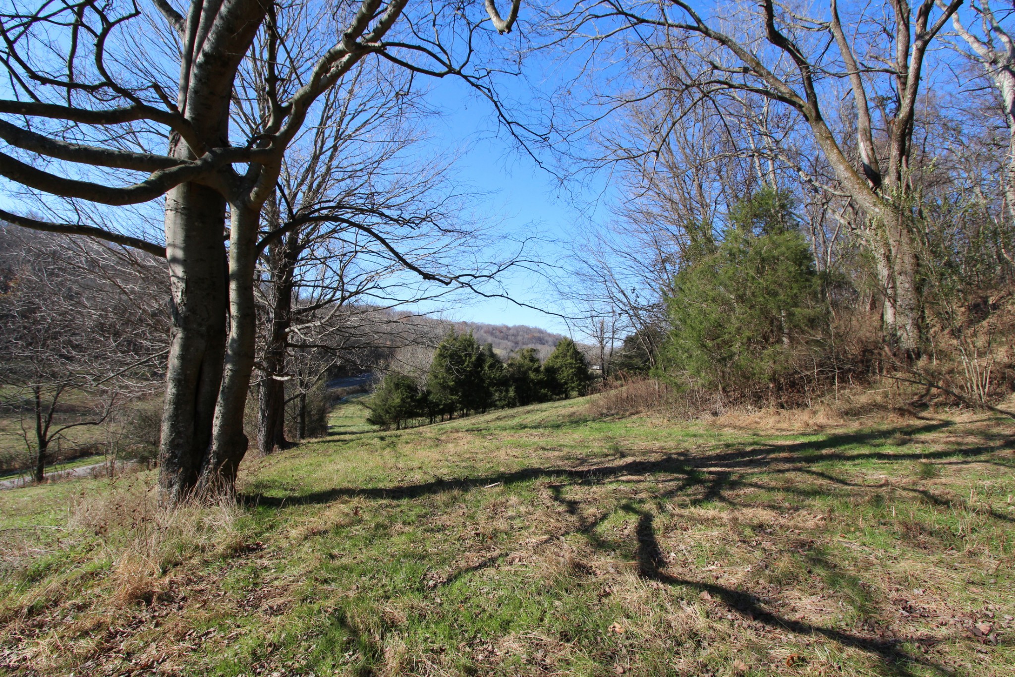 0 Wiley Hollow Road Culleoka, TN 38451 - Photo 18 of 40 Gallery Image 18