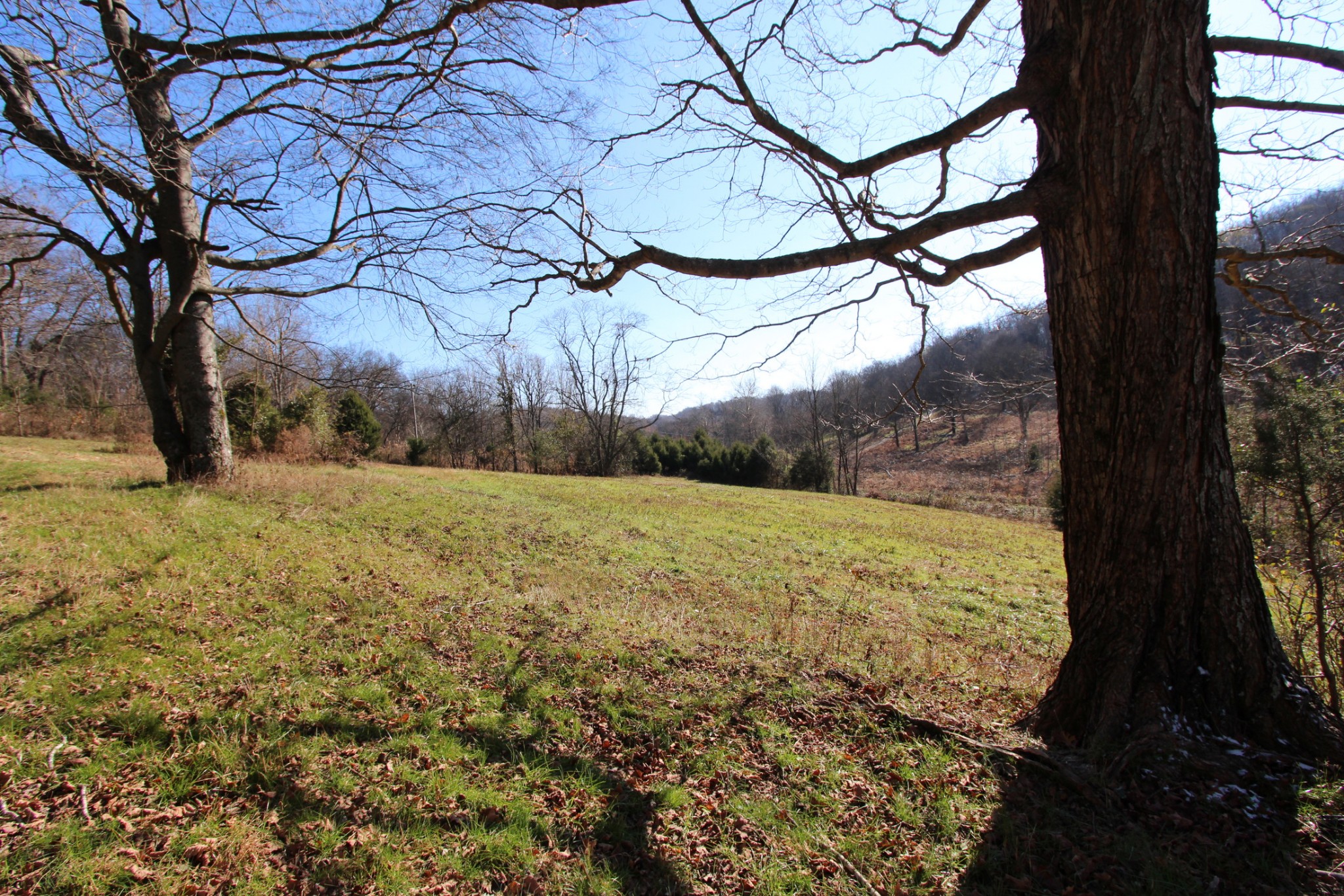 0 Wiley Hollow Road Culleoka, TN 38451 - Photo 19 of 40 Gallery Image 19