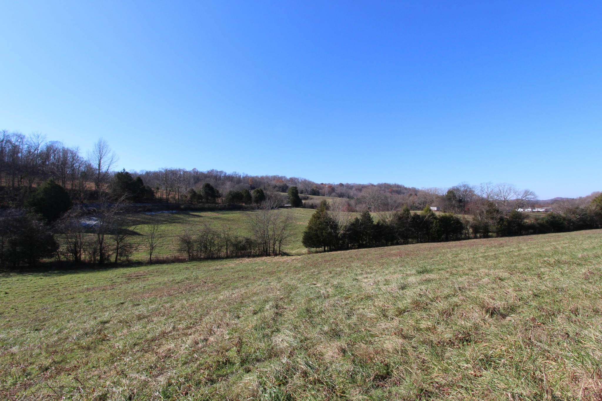 0 Wiley Hollow Road Culleoka, TN 38451 - Photo 20 of 40 Gallery Image 20