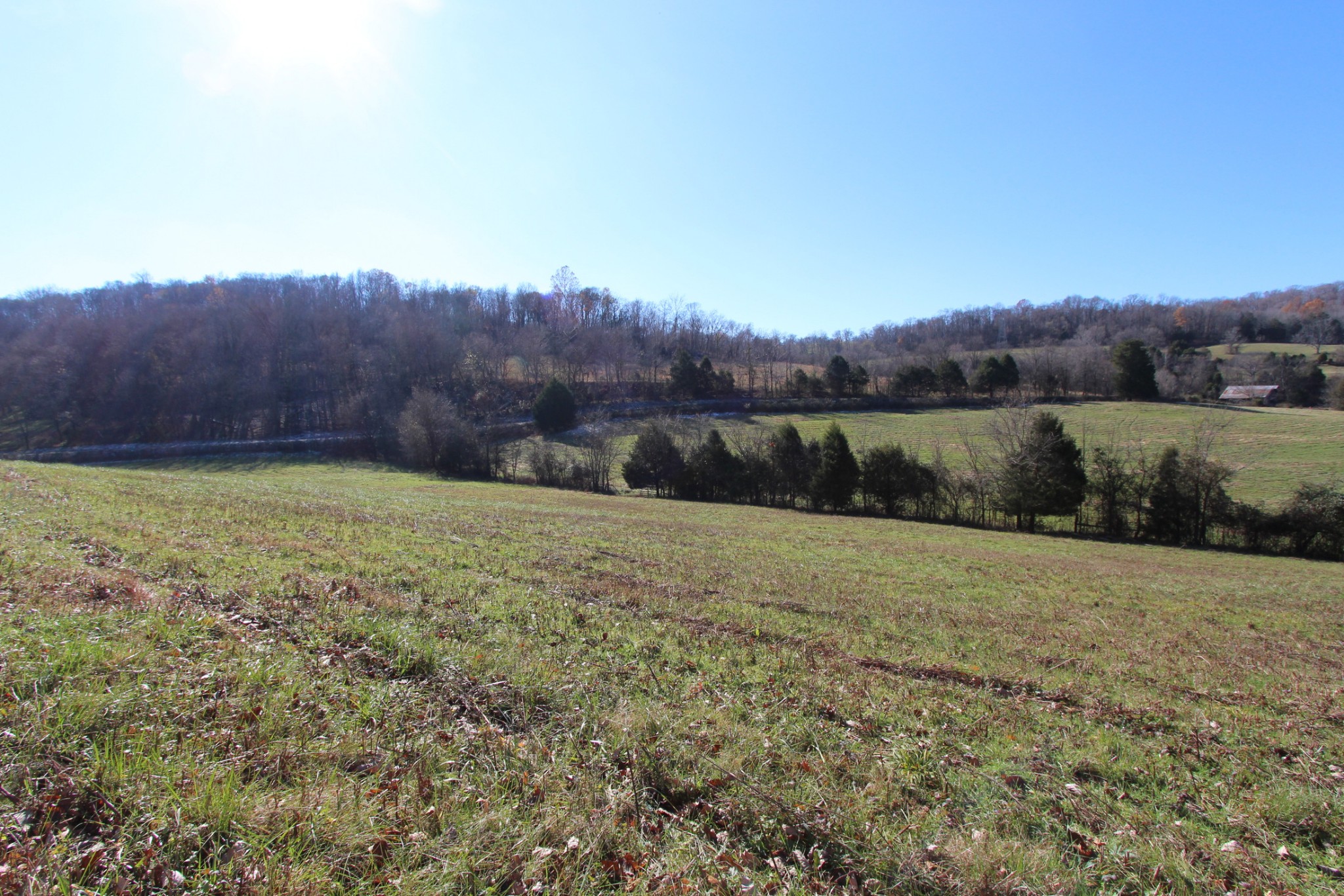 0 Wiley Hollow Road Culleoka, TN 38451 - Photo 21 of 40 Gallery Image 21