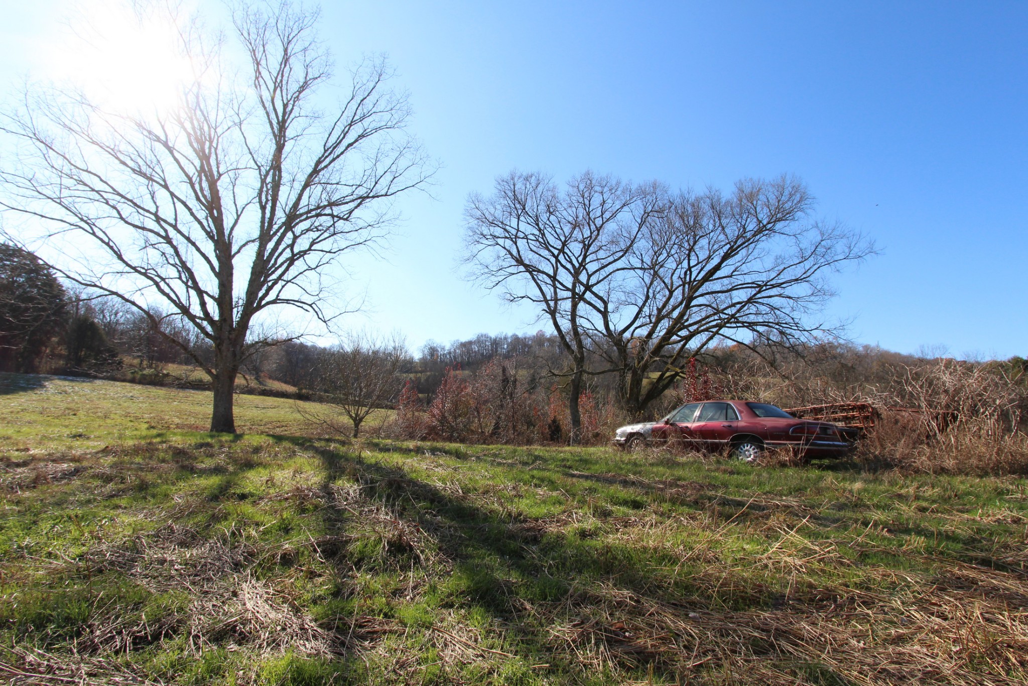 0 Wiley Hollow Road Culleoka, TN 38451 - Photo 24 of 40 Gallery Image 24