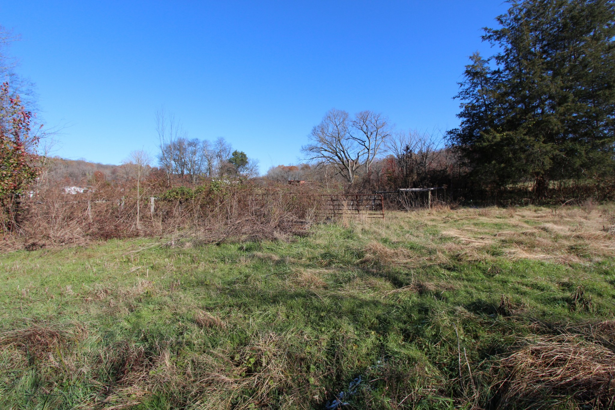 0 Wiley Hollow Road Culleoka, TN 38451 - Photo 35 of 40 Gallery Image 35