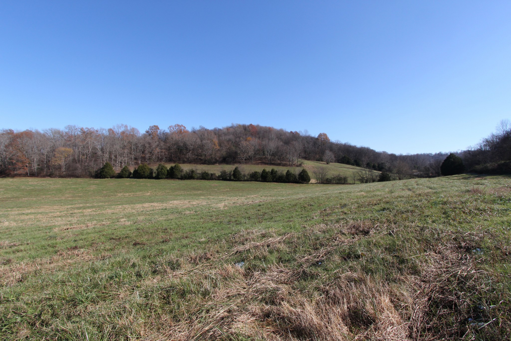 0 Wiley Hollow Road Culleoka, TN 38451 - Photo 36 of 40 Gallery Image 36