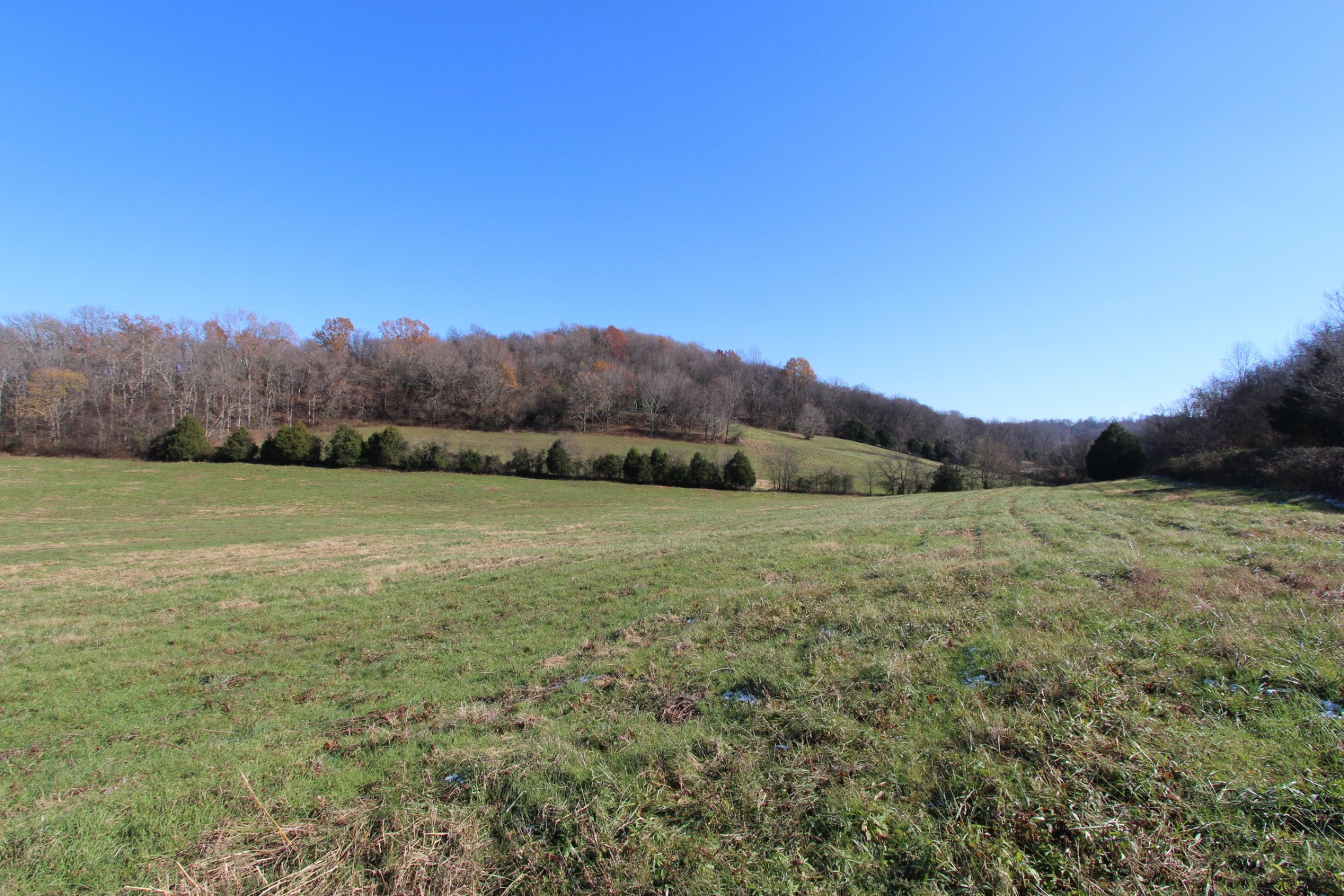 0 Wiley Hollow Road Culleoka, TN 38451 - Photo 40 of 40 Gallery Image 40