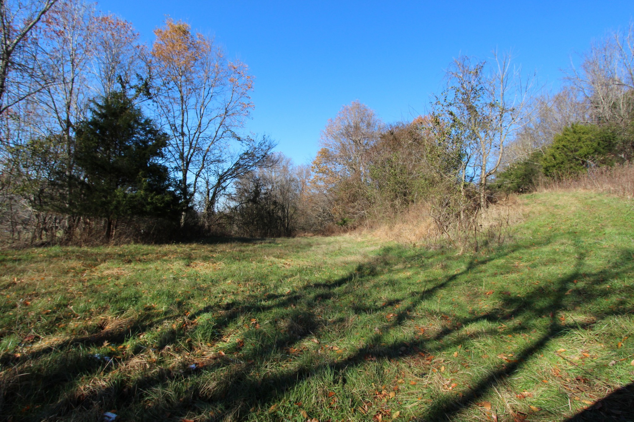 0 Wiley Hollow Road Culleoka, TN 38451 - Photo 7 of 40 Gallery Image 7