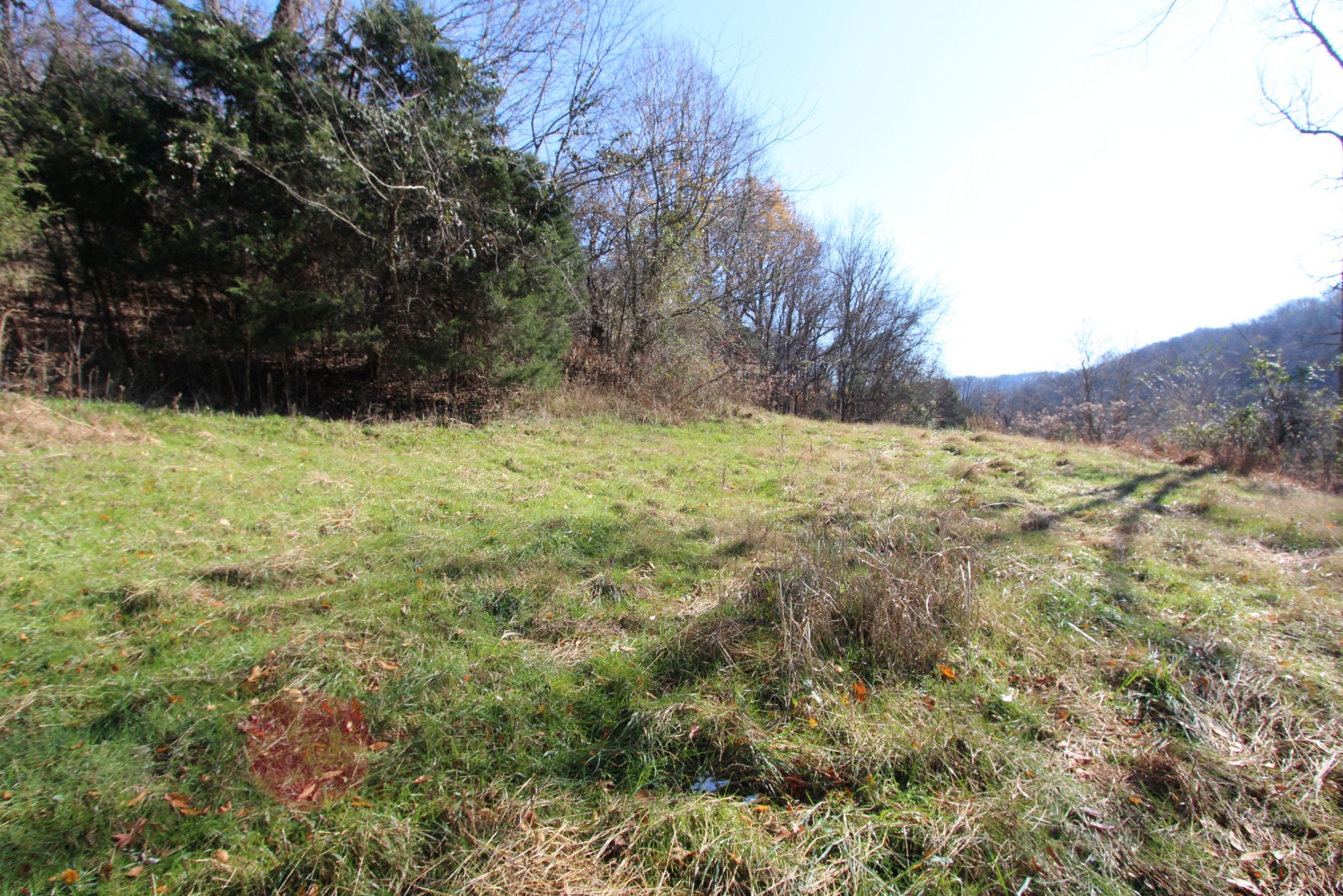 0 Wiley Hollow Road Culleoka, TN 38451 - Photo 8 of 40 Gallery Image 8