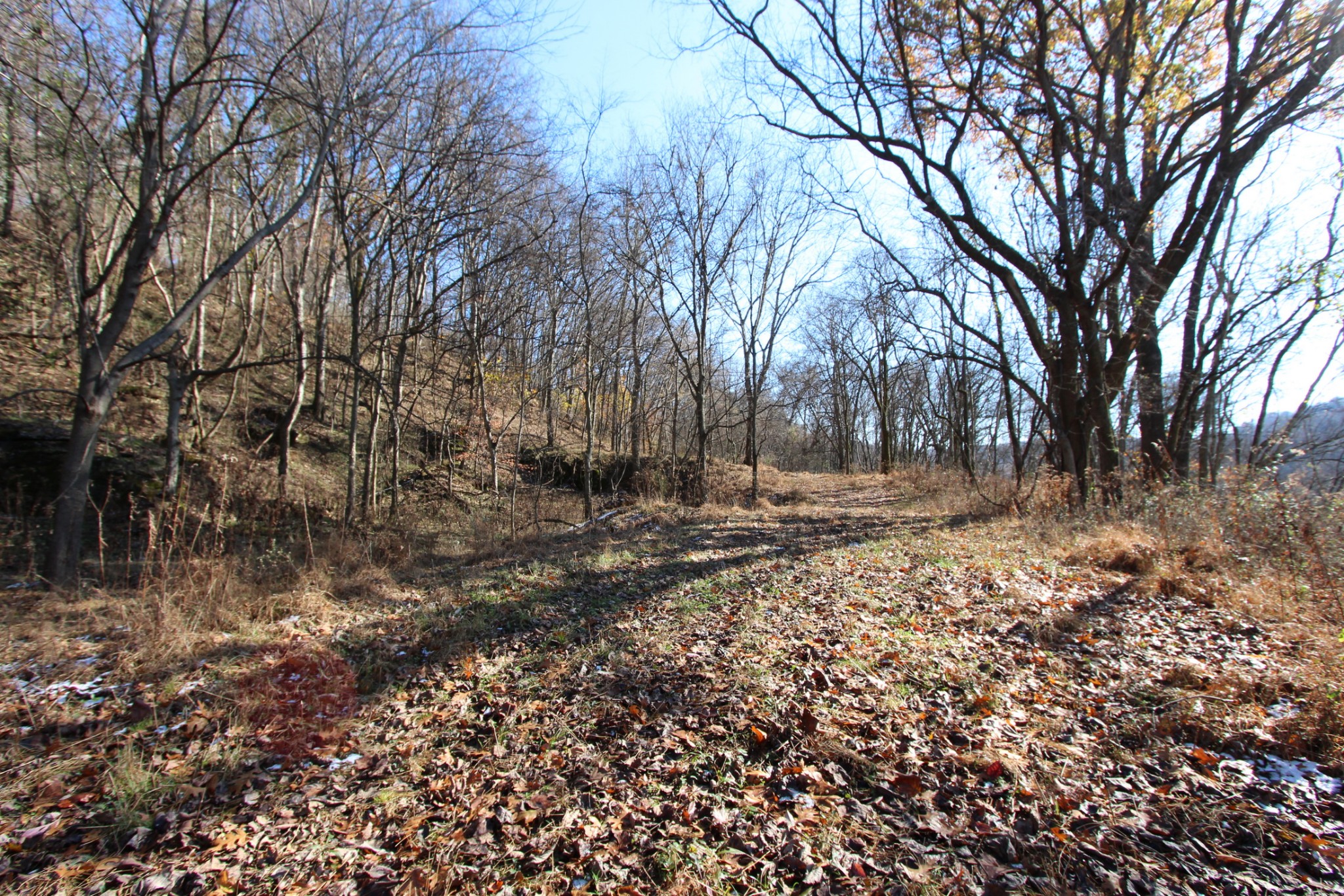 0 Wiley Hollow Road Culleoka, TN 38451 - Photo 10 of 40 Gallery Image 10