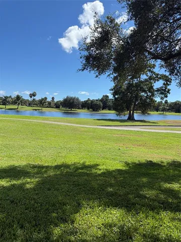 a view of a large trees with a big yard
