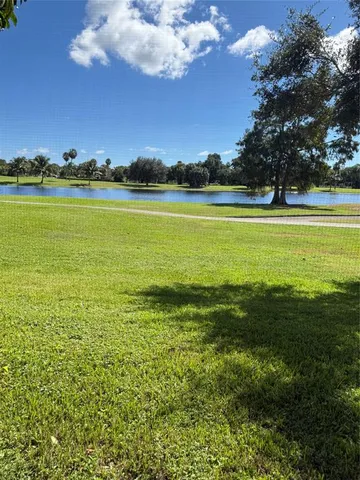 a view of a big yard next to a large trees