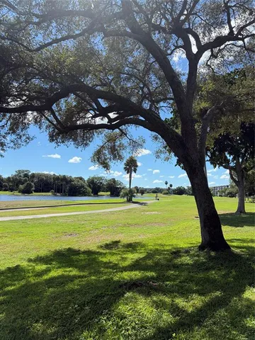 a view of a garden with a tree