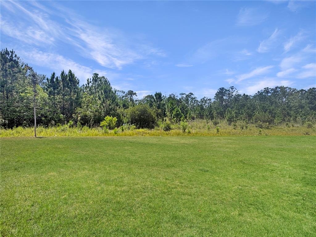 7612 Bent Tree Loop St. Cloud, FL 34773 - Photo 20 of 20