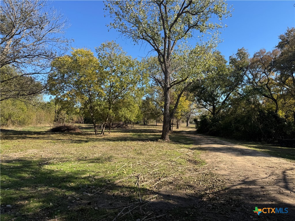 3510 Gun Club Road Temple, TX 76501 - Photo 10 of 17 a view of a yard with a tree