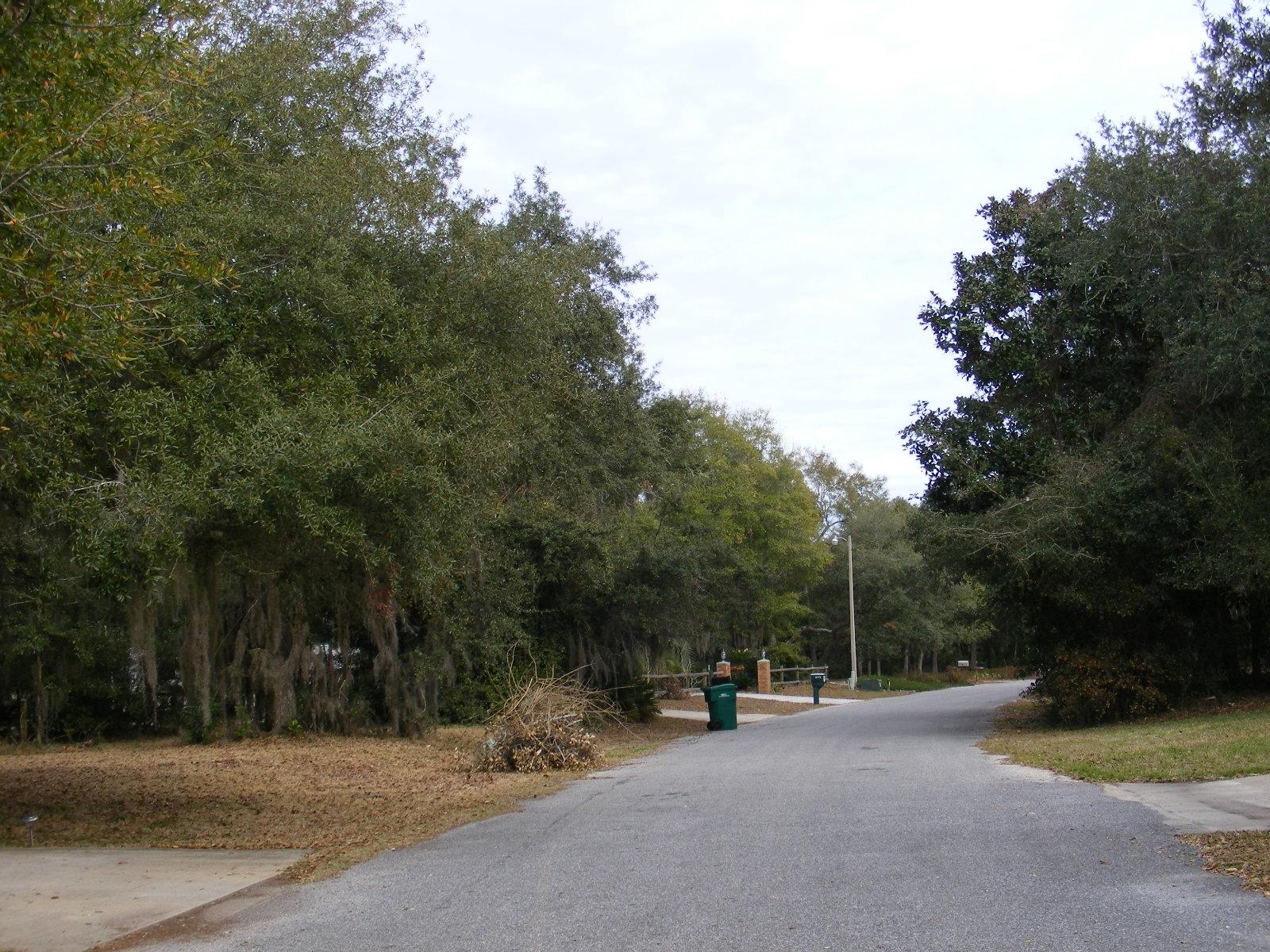 0 Tom King Bayou Road Navarre, FL 32566 - Photo 11 of 21