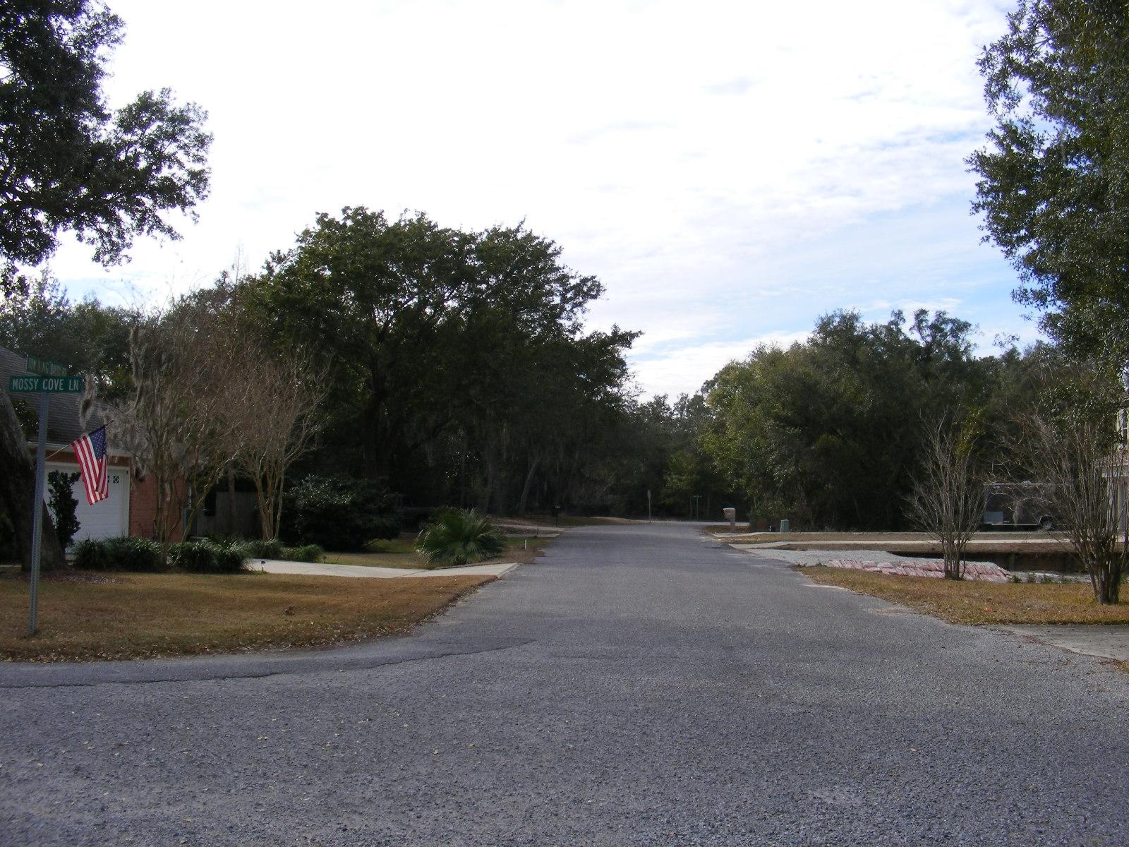 0 Tom King Bayou Road Navarre, FL 32566 - Photo 12 of 21