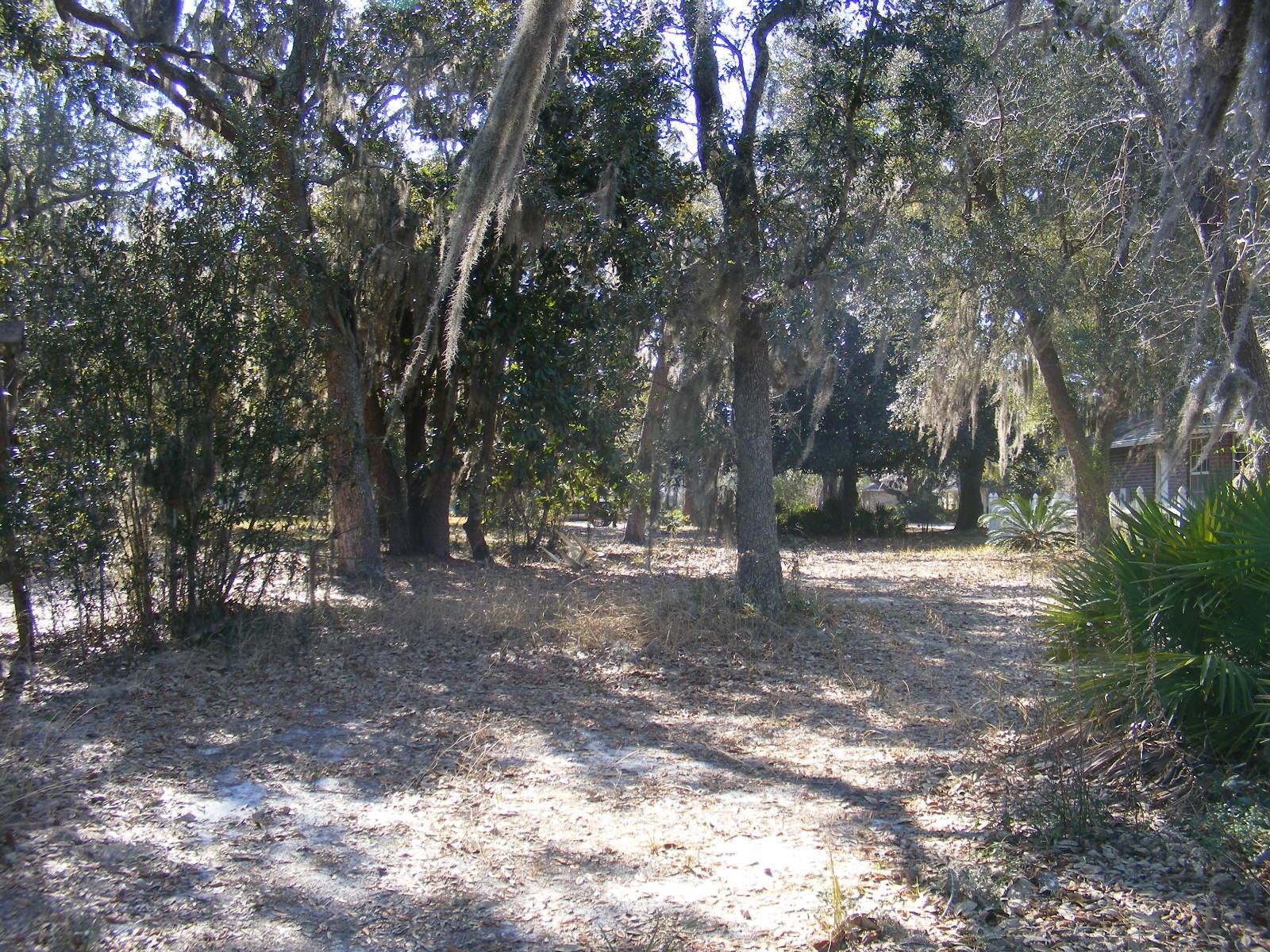 0 Tom King Bayou Road Navarre, FL 32566 - Photo 13 of 21
