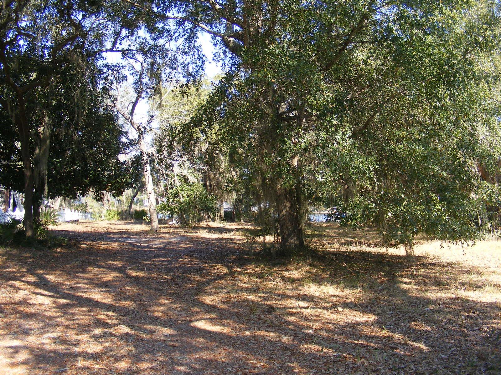 0 Tom King Bayou Road Navarre, FL 32566 - Photo 14 of 21