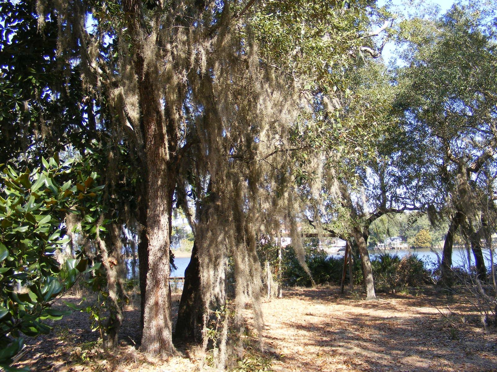 0 Tom King Bayou Road Navarre, FL 32566 - Photo 16 of 21