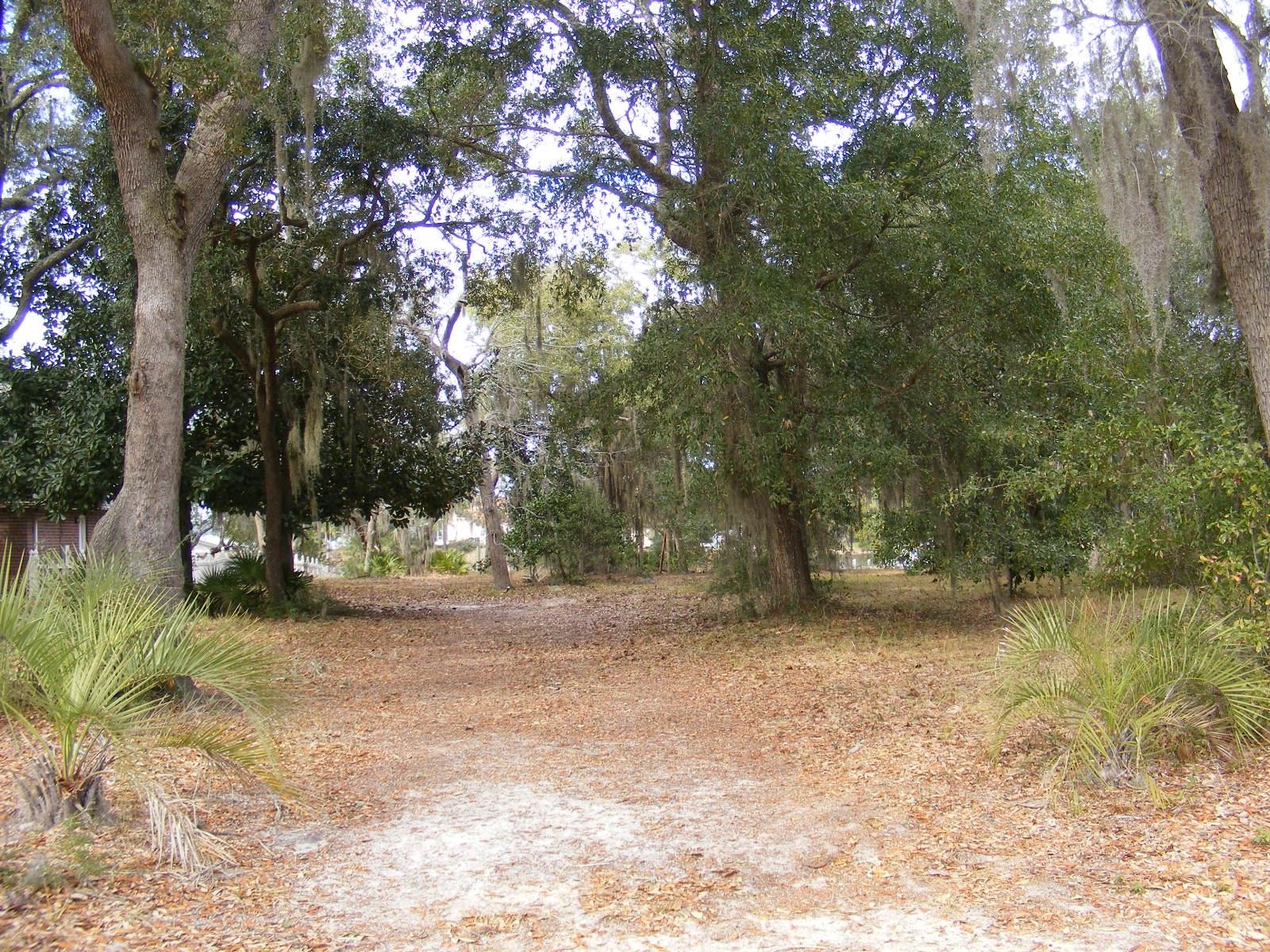 0 Tom King Bayou Road Navarre, FL 32566 - Photo 8 of 21