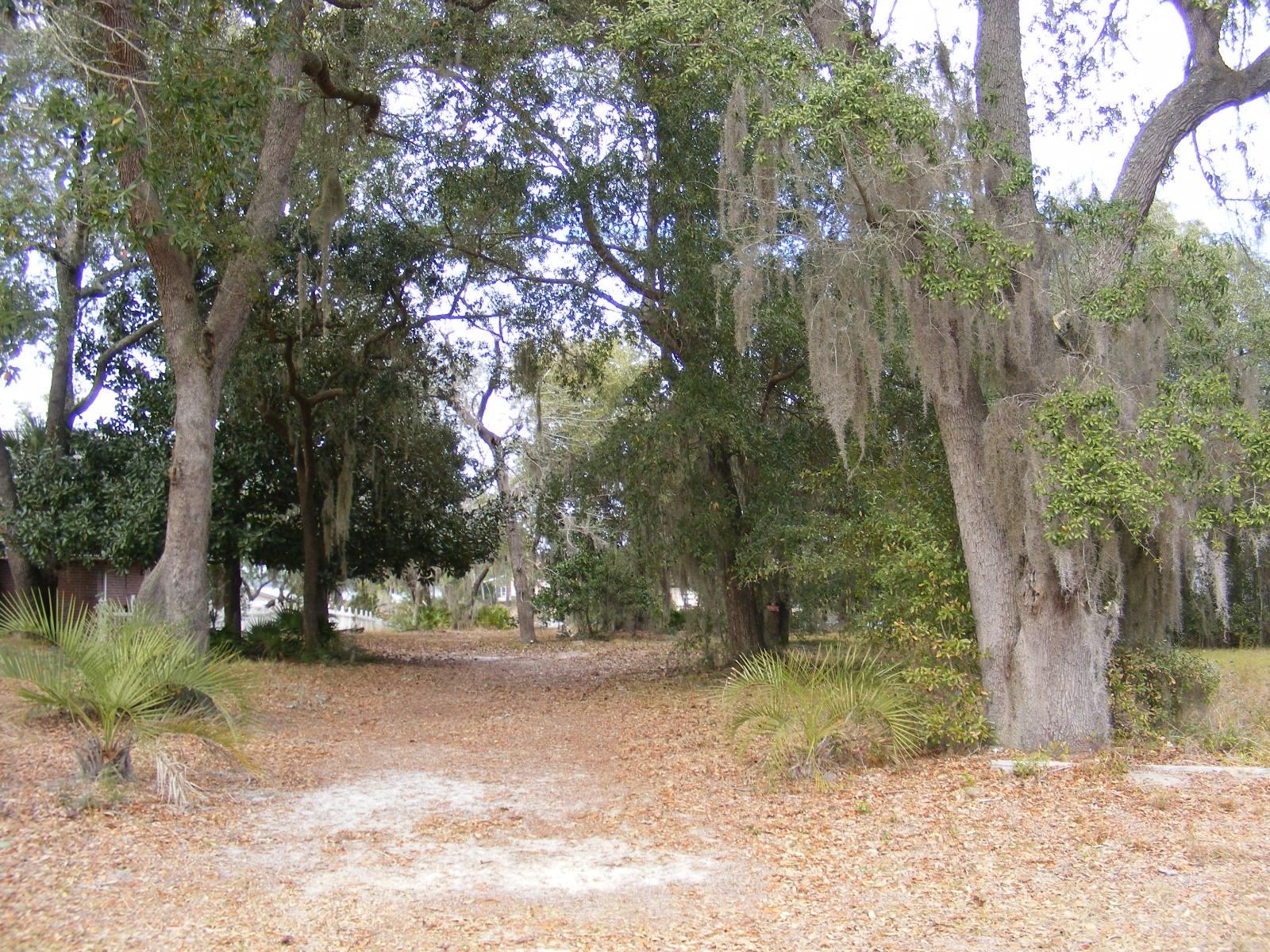 0 Tom King Bayou Road Navarre, FL 32566 - Photo 9 of 21