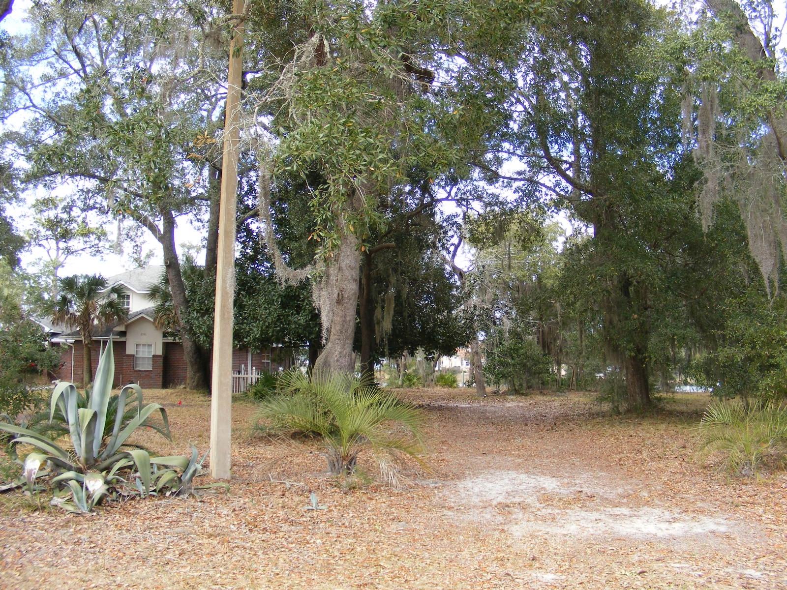 0 Tom King Bayou Road Navarre, FL 32566 - Photo 10 of 21