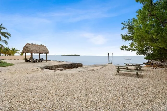 a row of palm trees and a yard with wooden fence