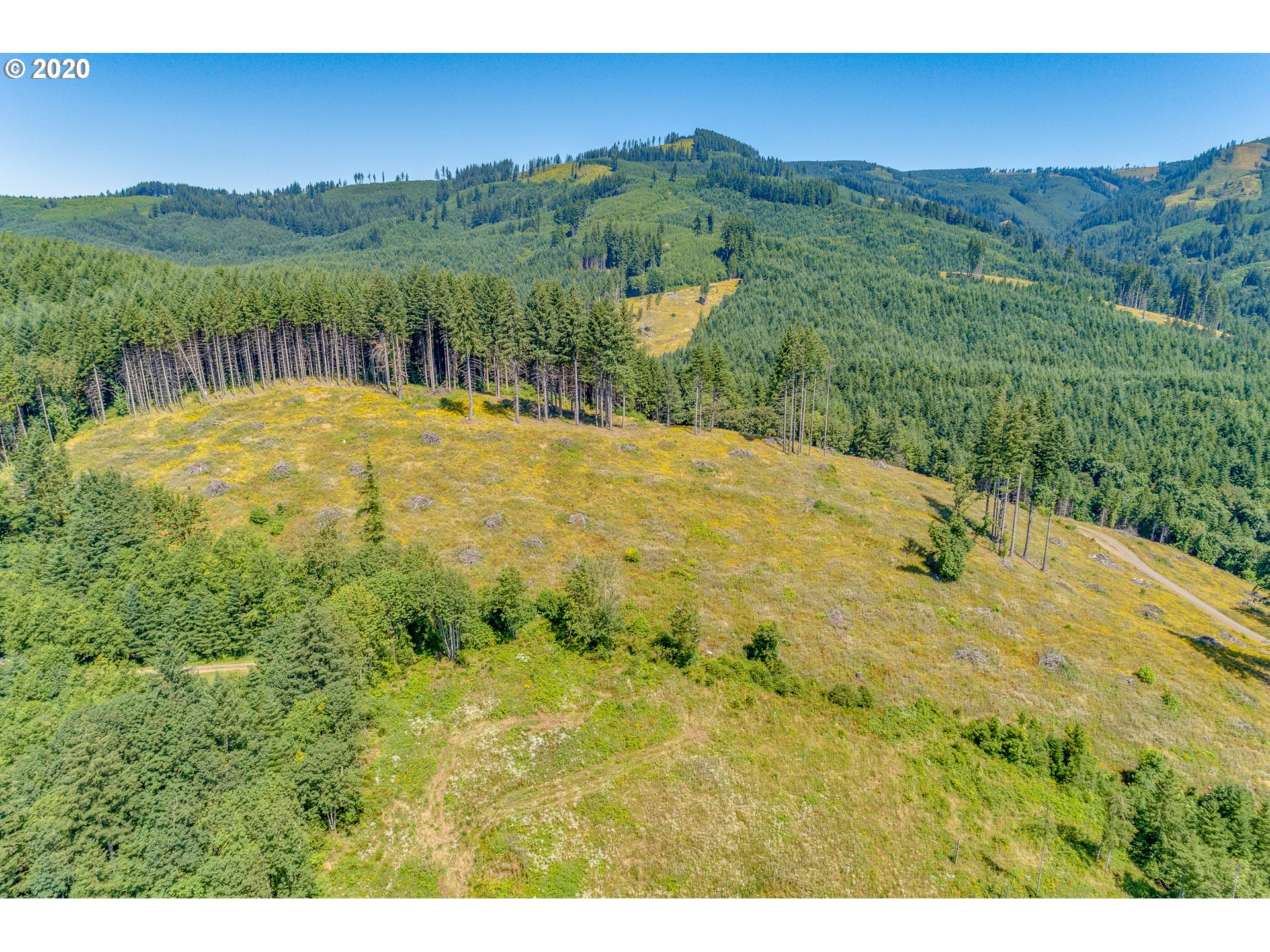 375 Hansen Ext Road Woodland, WA 98674 - Photo 14 of 17 Gallery Image 14
