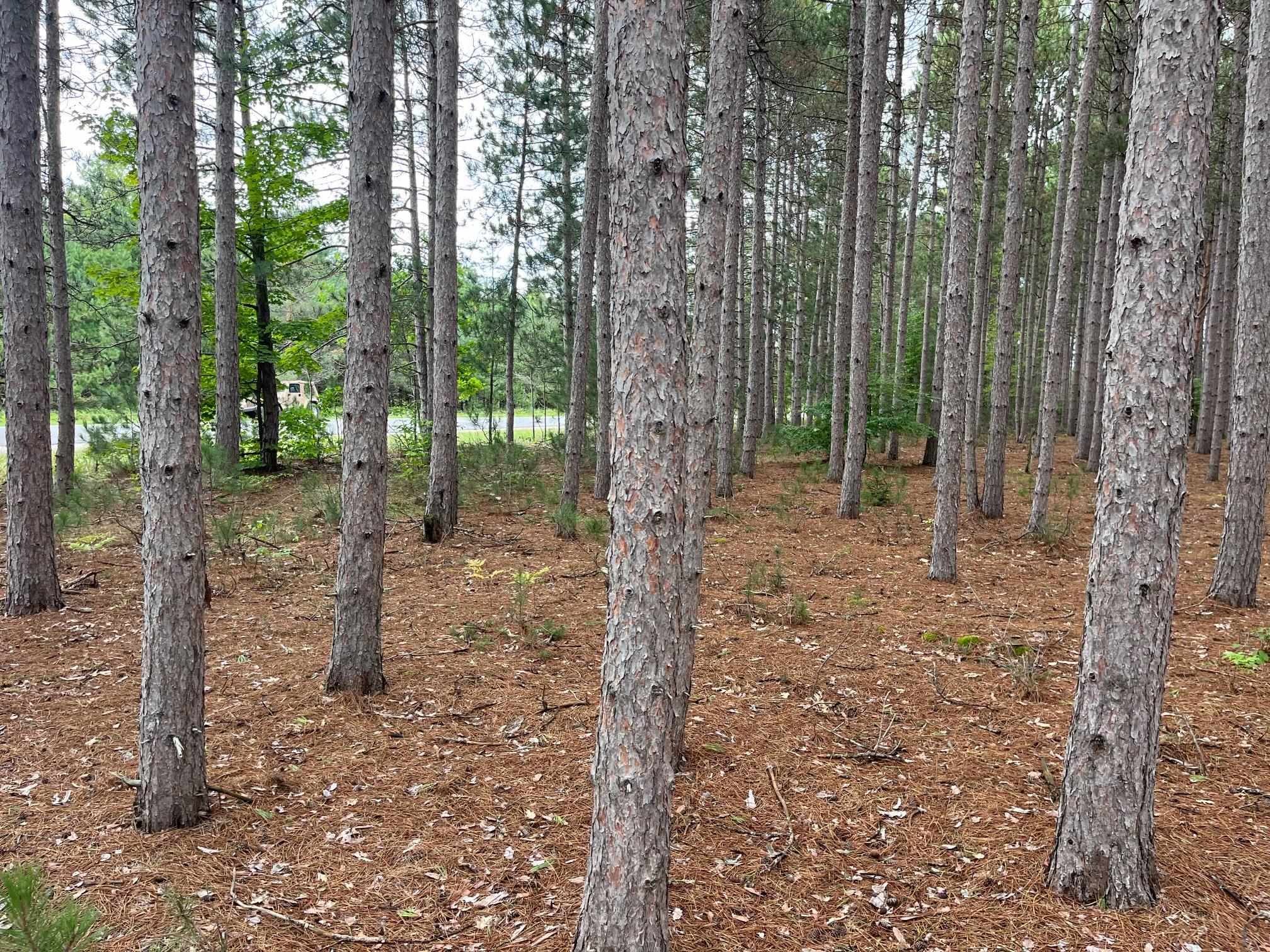 0 Copemish Road Thompsonville, MI 49683 - Photo 3 of 8 Gallery Image 3