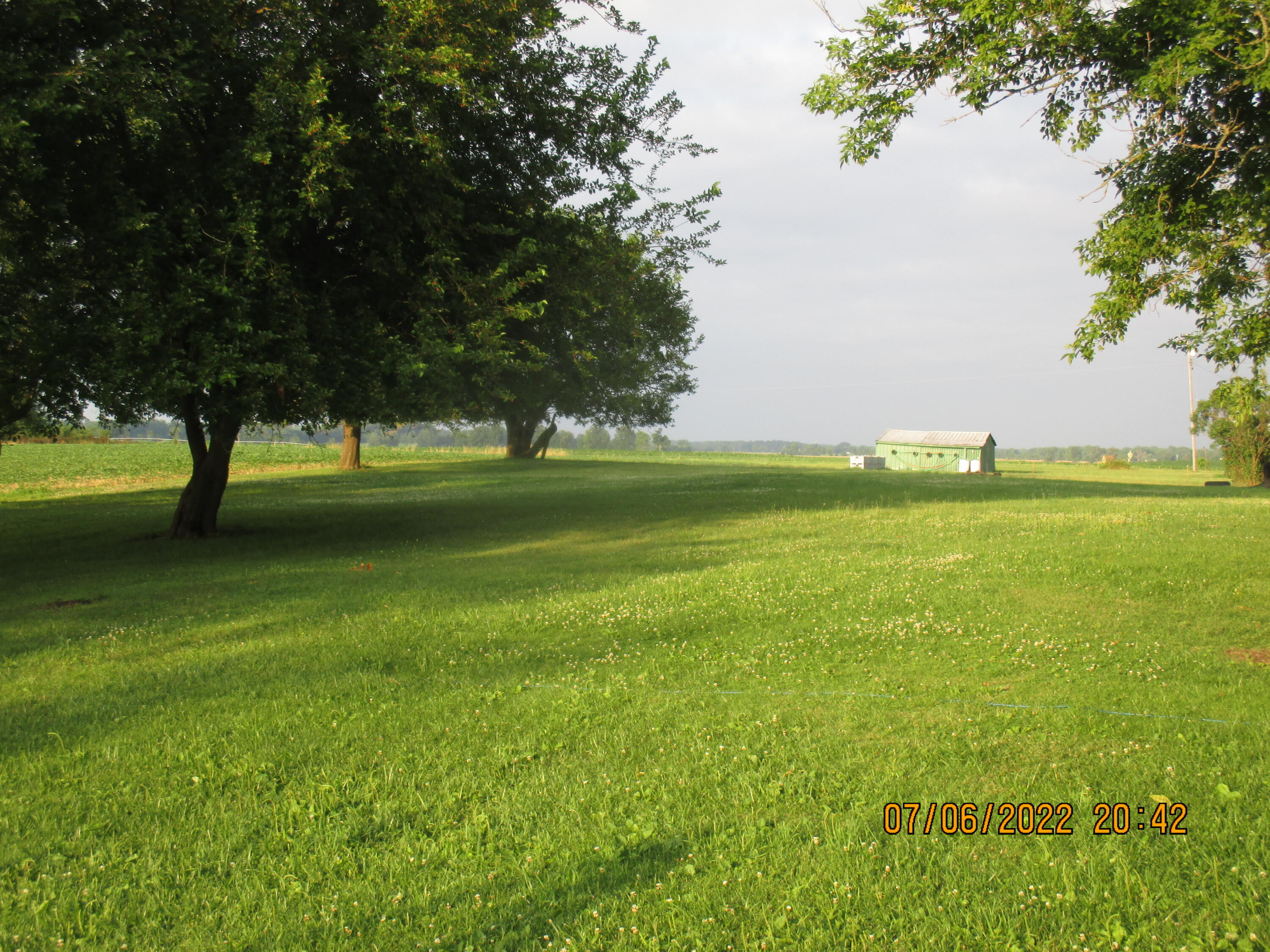 282 West Colon Road Coldwater, MI 49036 - Photo 44 of 51 IMG_5976