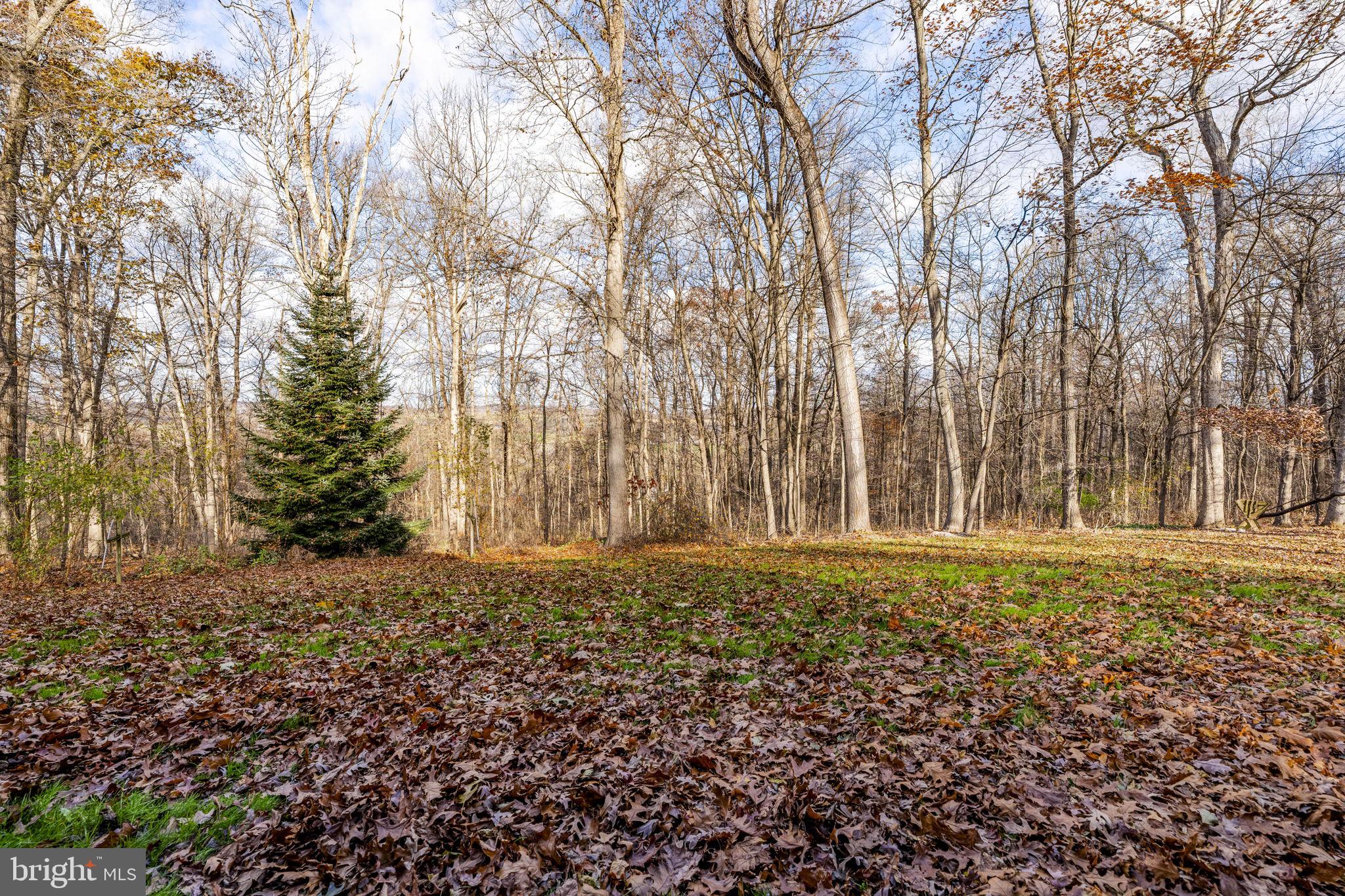 35 High Street Christiana, PA 17509 - Photo 22 of 33 a big yard with trees