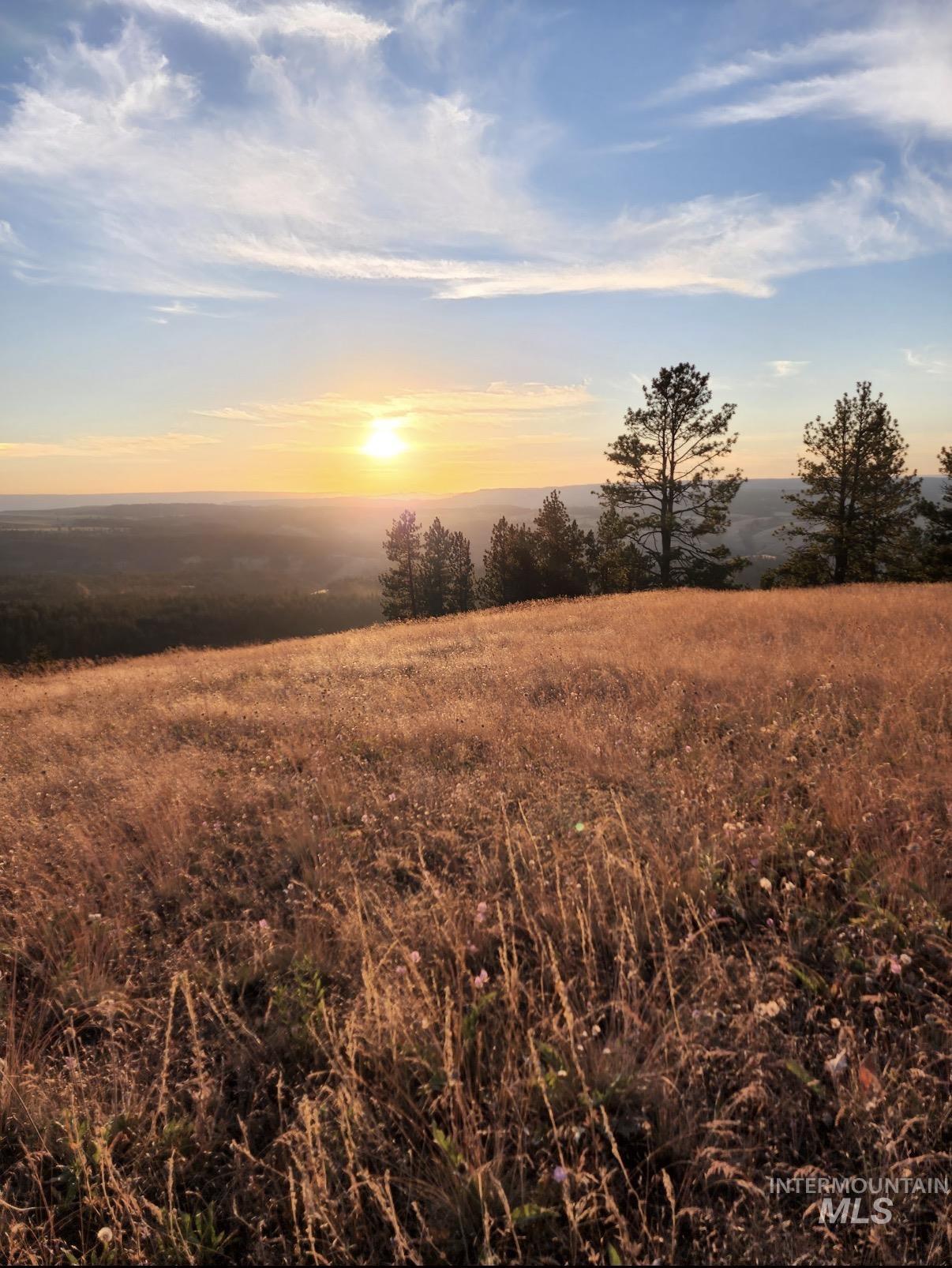 Lot 91 Pilgrim Ridge Road White Bird, ID 83554 - Photo 32 of 35