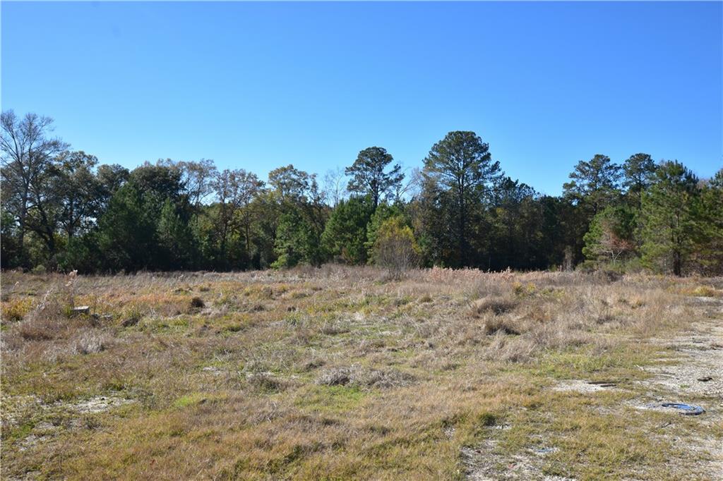 67221 Chris Kennedy Road Pearl River, LA 70452 - Photo 2 of 3