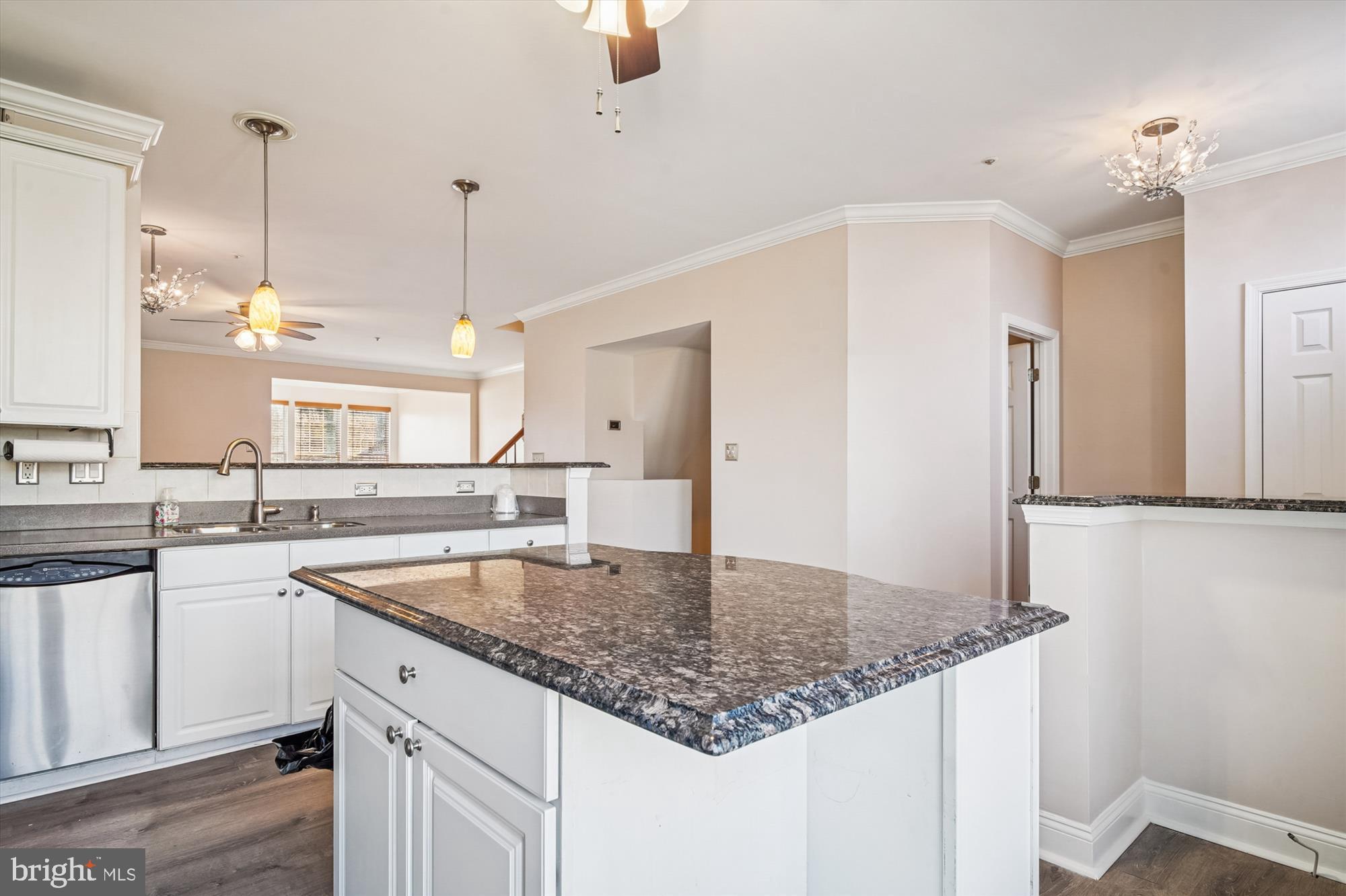 3834 Glebe Meadow Way Edgewater, MD 21037 - Photo 7 of 68 Modern kitchen with elegant finishes.